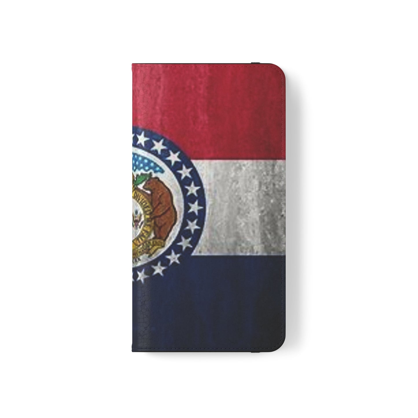 Missouri Flip Cases