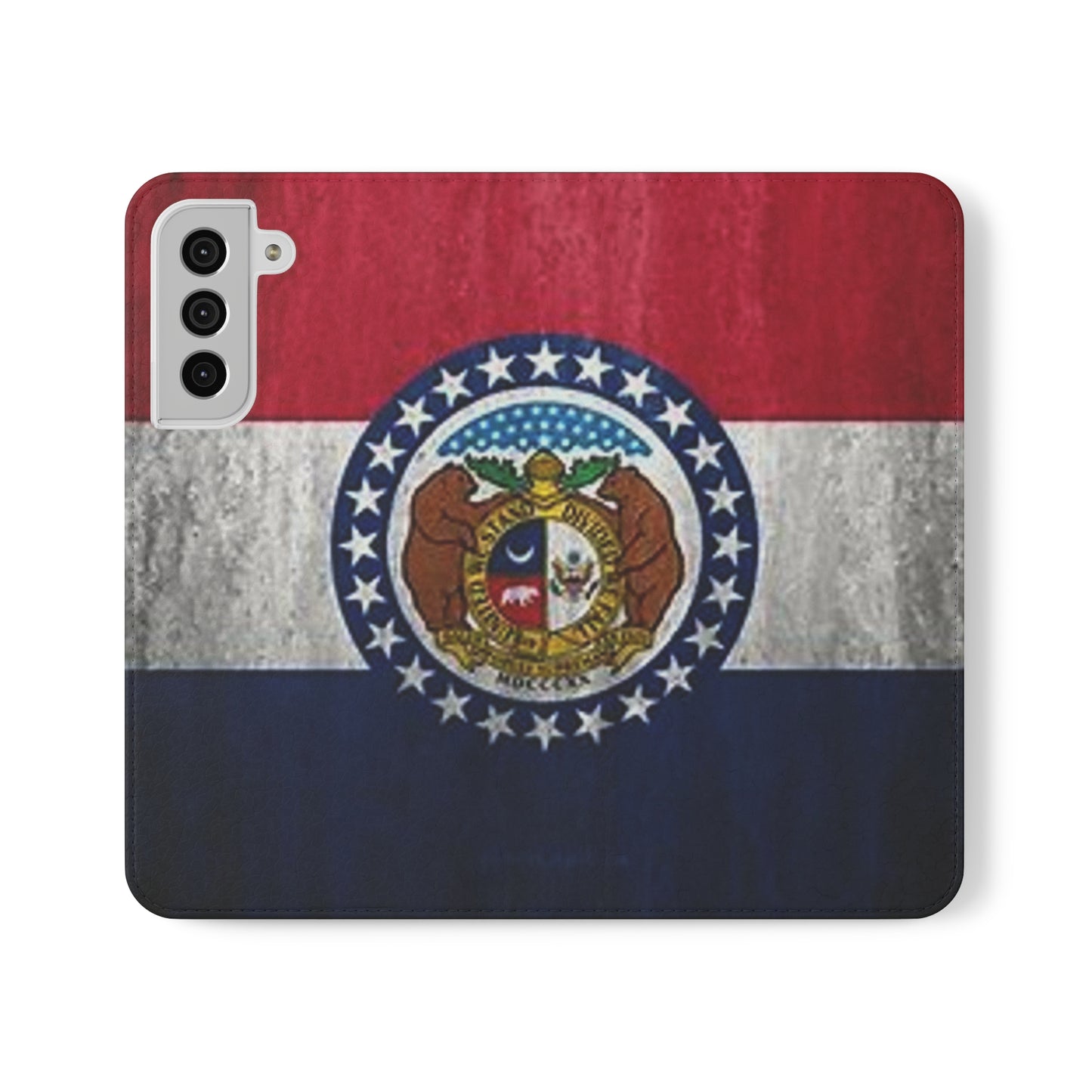 Missouri Flip Cases