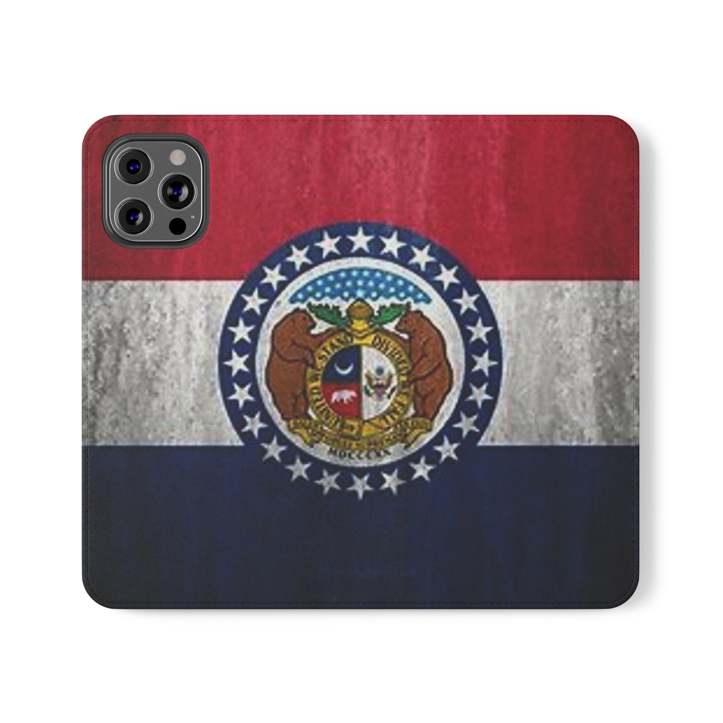 Missouri Flip Cases