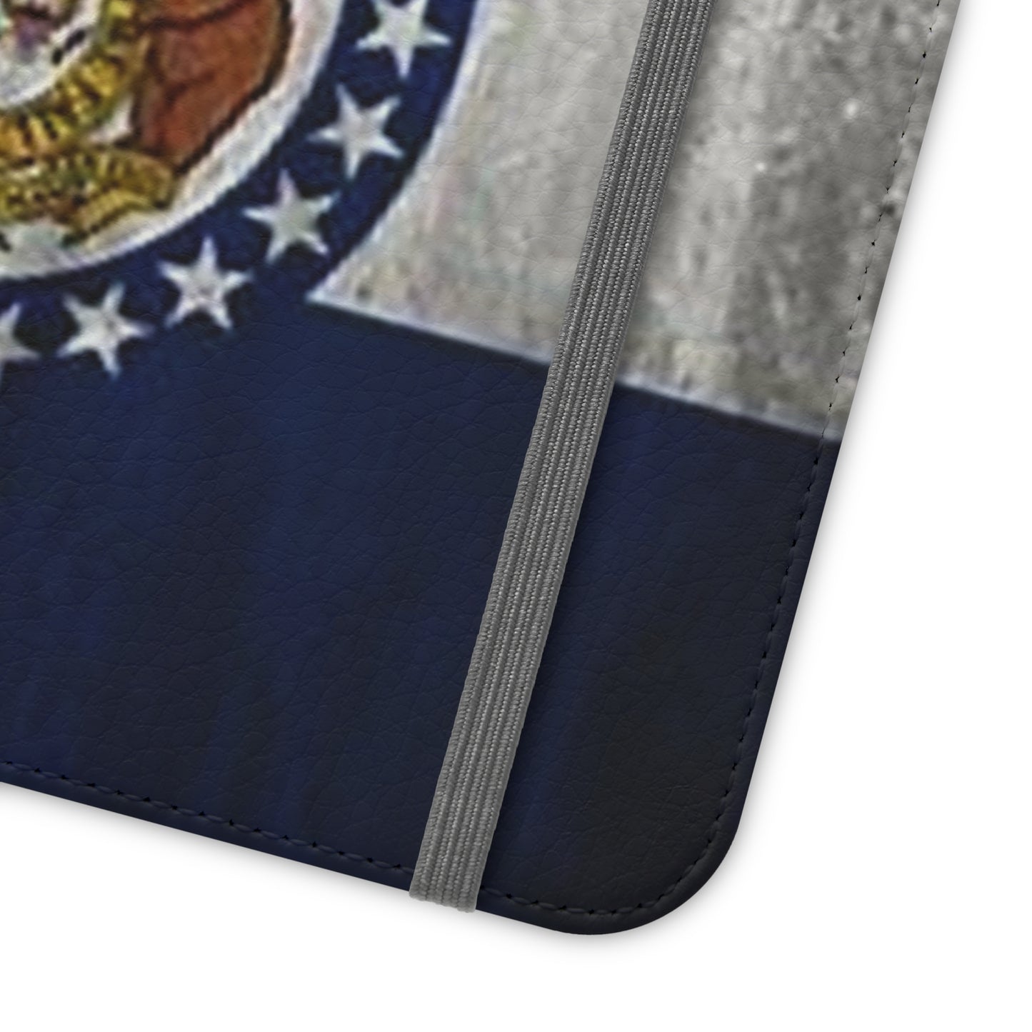 Missouri Flip Cases
