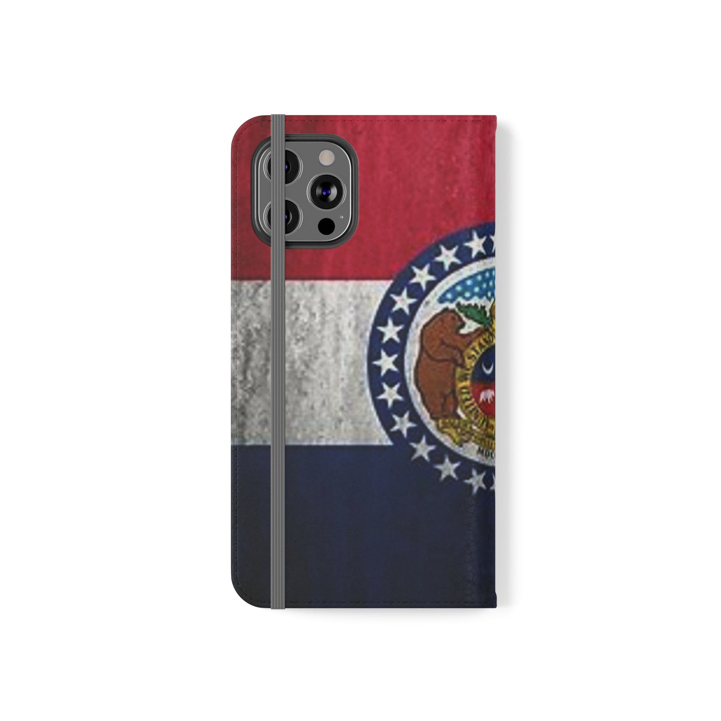 Missouri Flip Cases