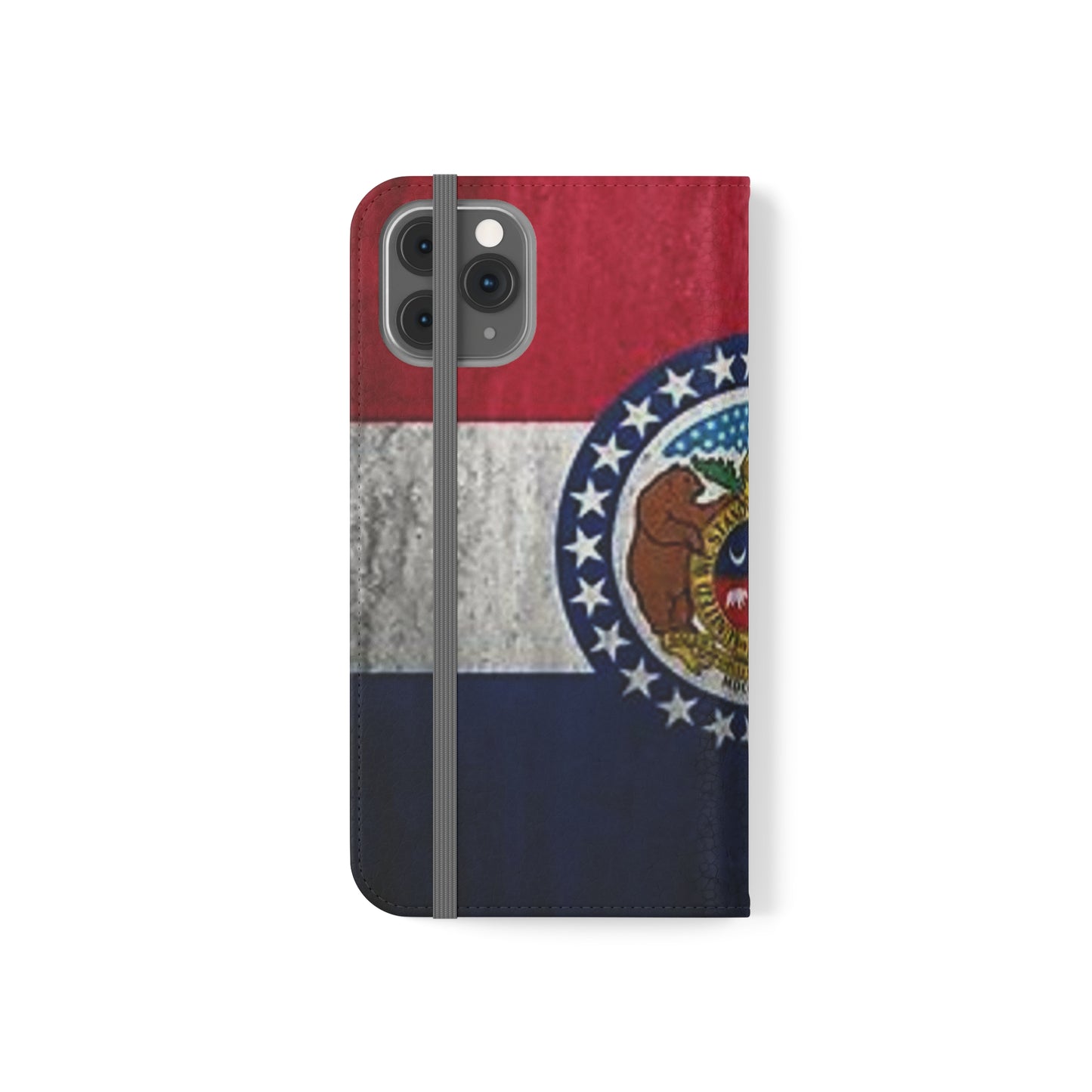 Missouri Flip Cases