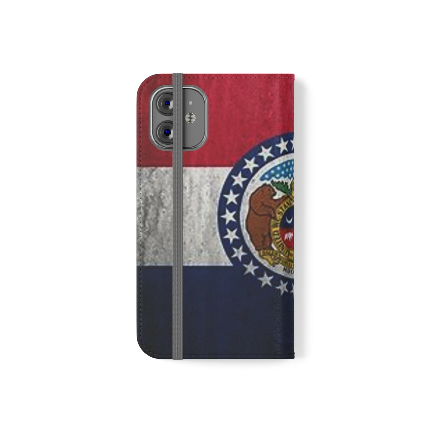 Missouri Flip Cases