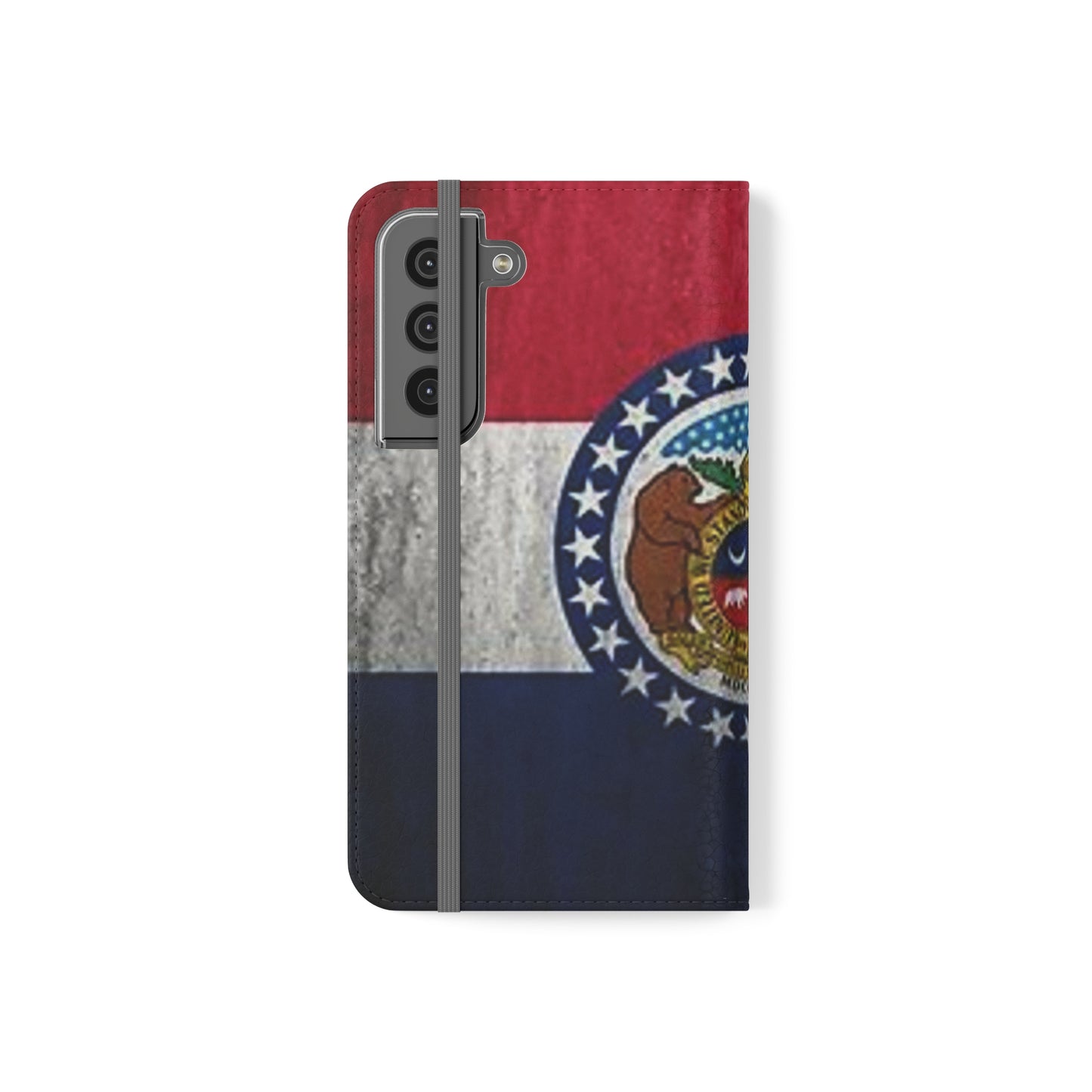 Missouri Flip Cases