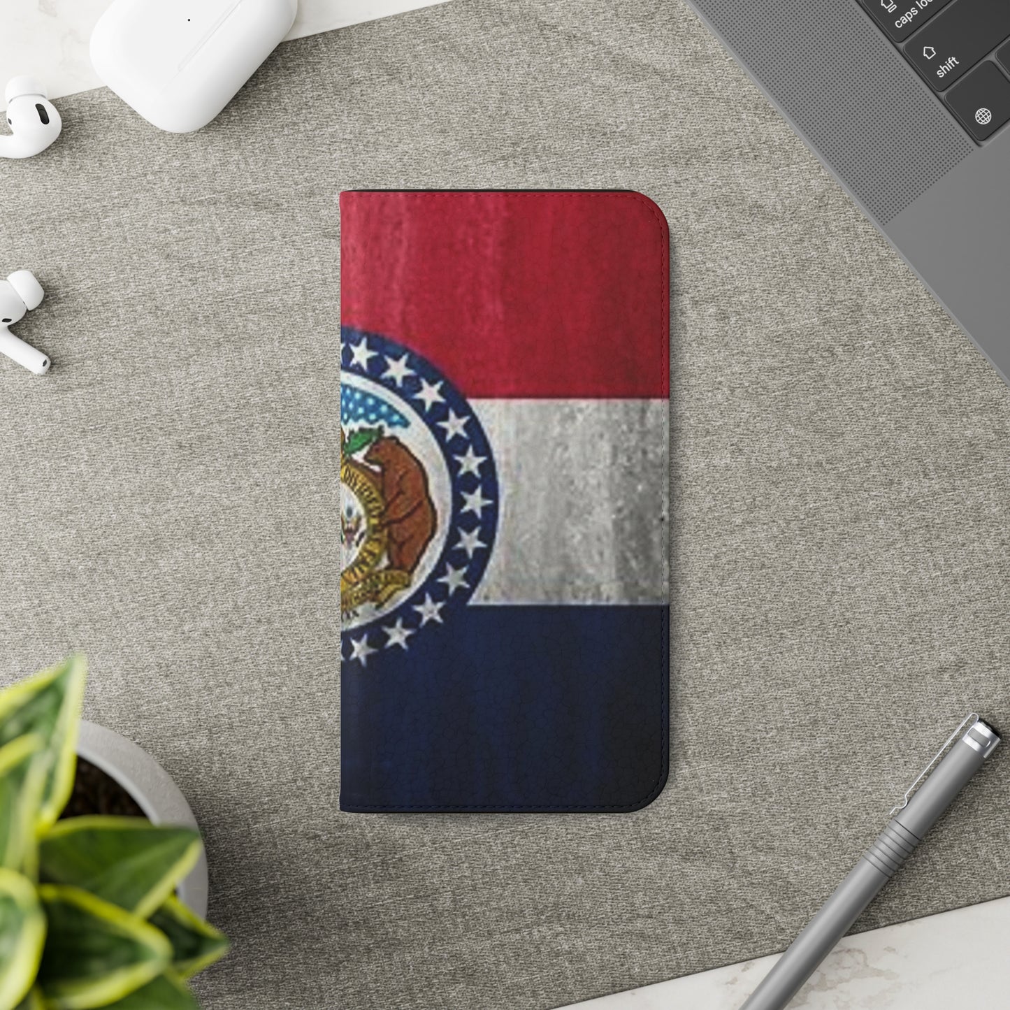 Missouri Flip Cases