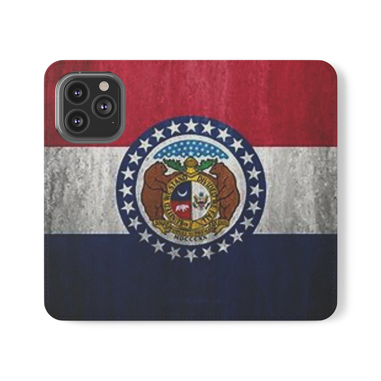 Missouri Flip Cases