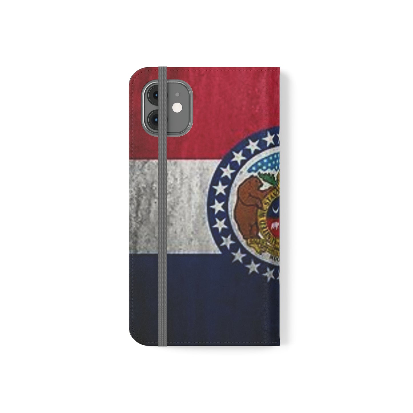 Missouri Flip Cases