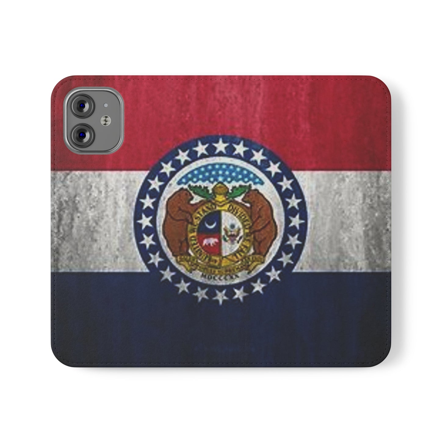 Missouri Flip Cases