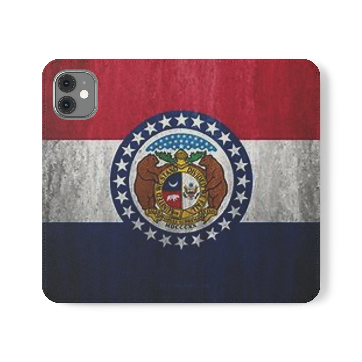 Missouri Flip Cases