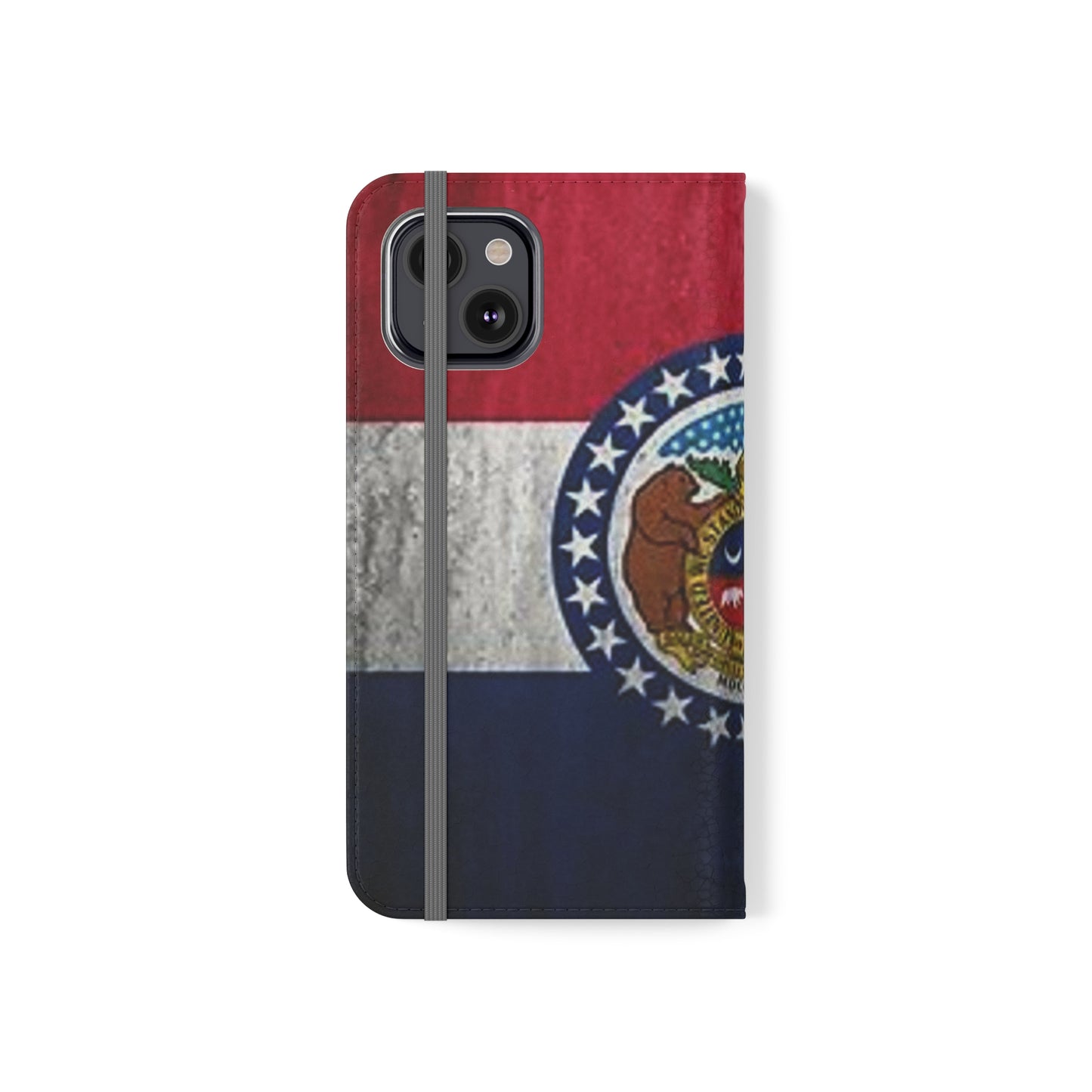 Missouri Flip Cases