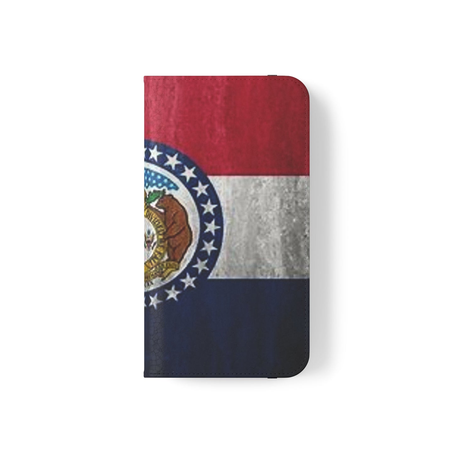 Missouri Flip Cases