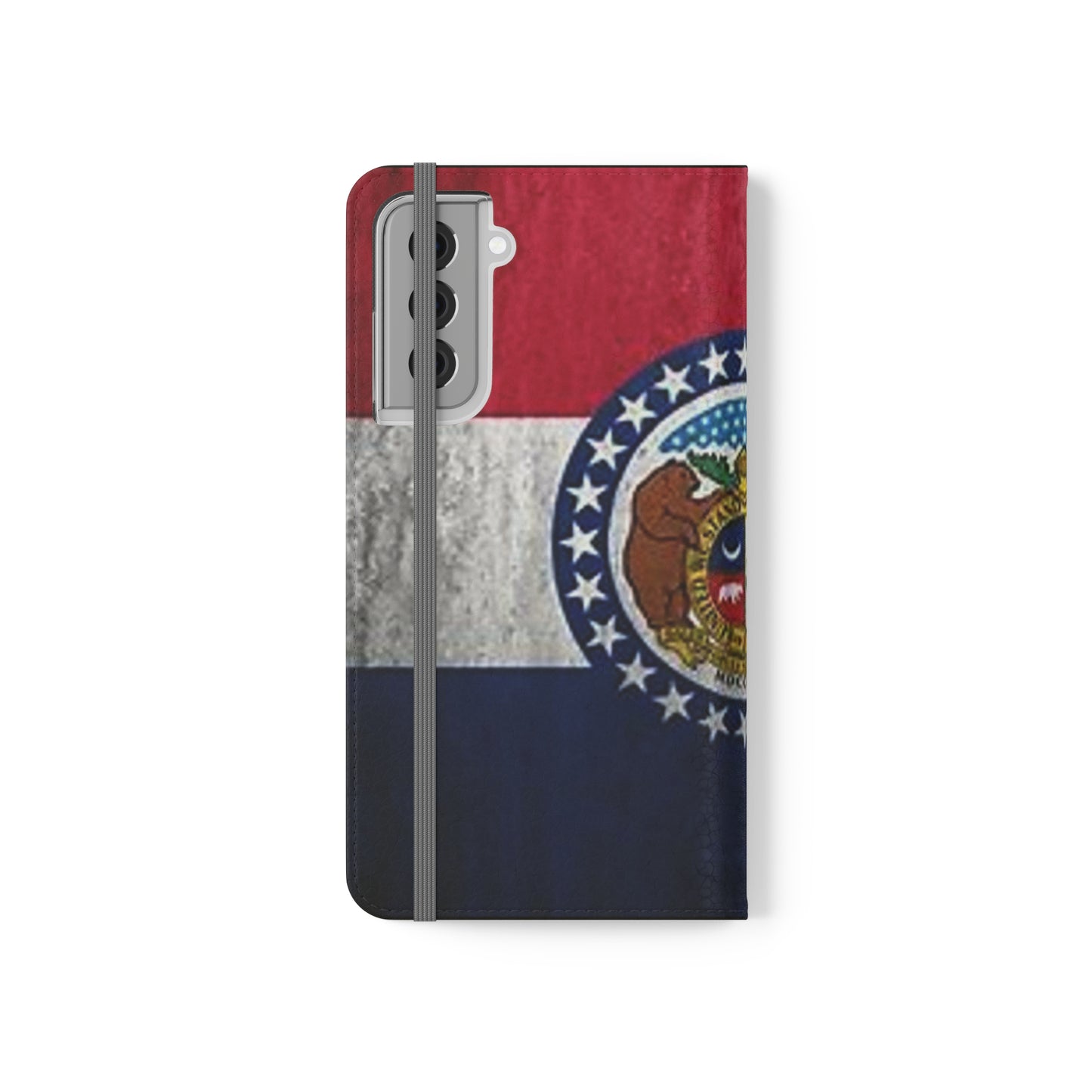 Missouri Flip Cases