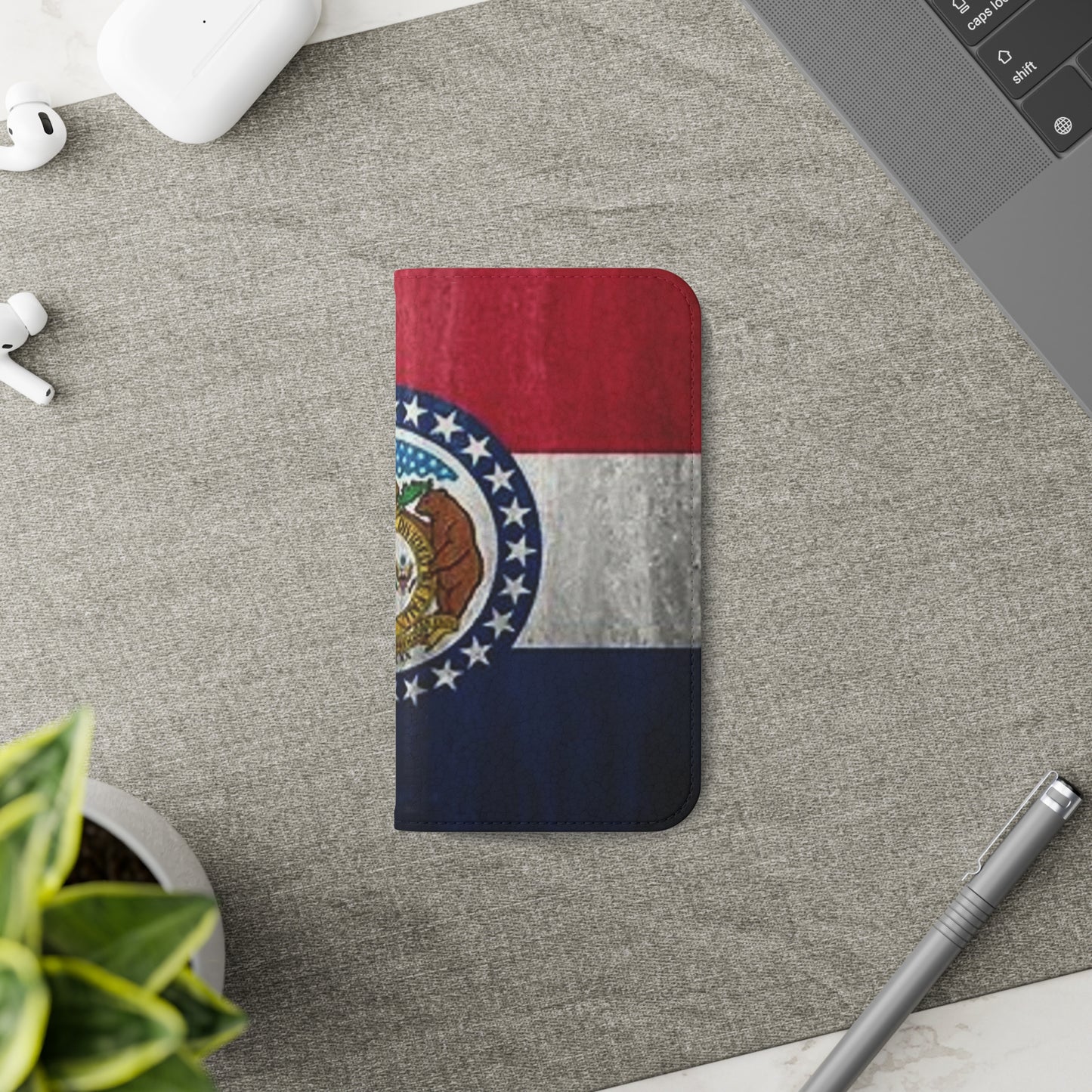 Missouri Flip Cases