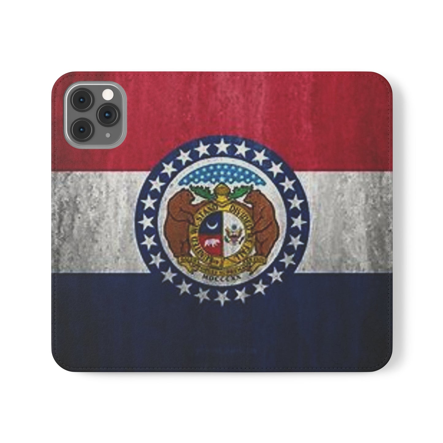Missouri Flip Cases