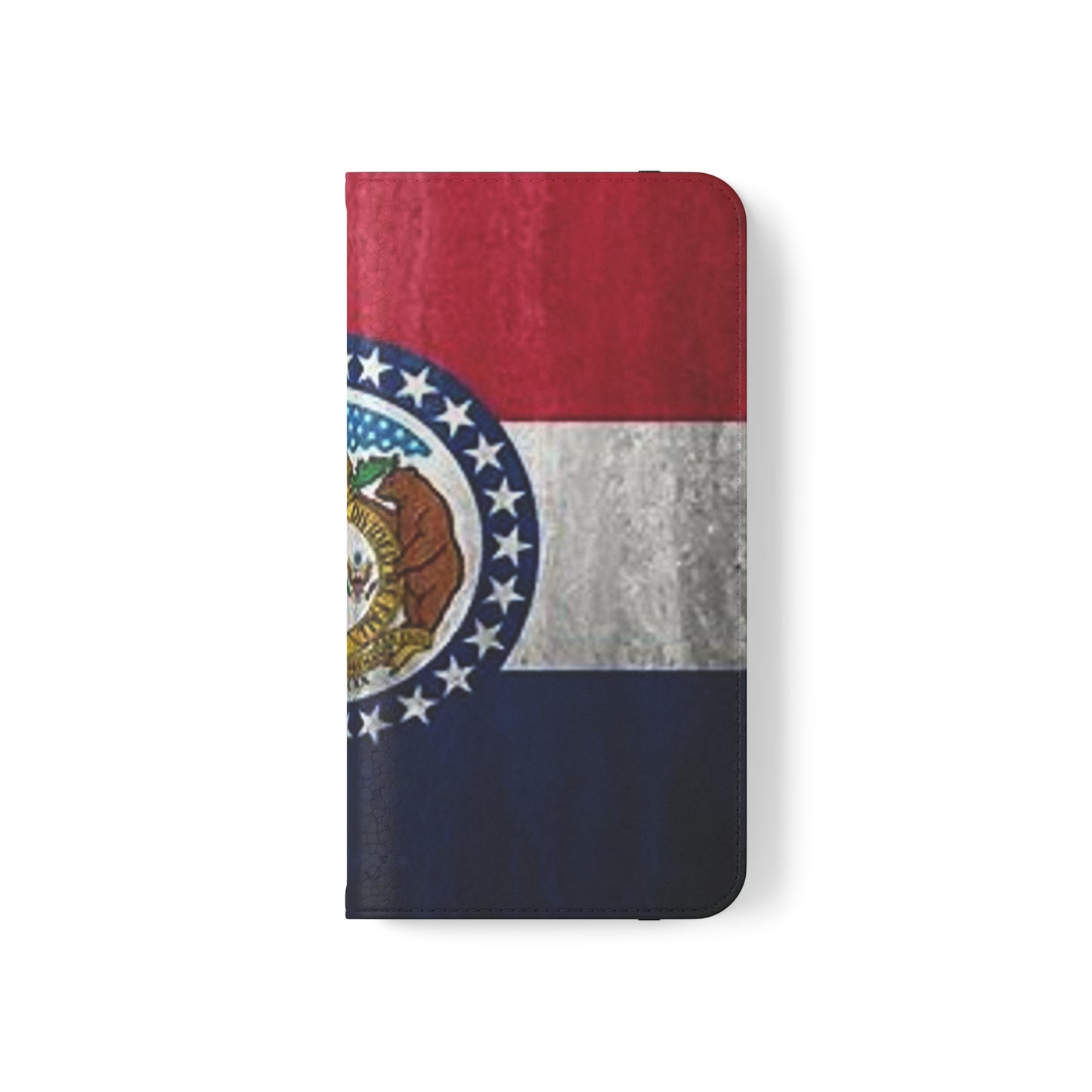 Missouri Flip Cases
