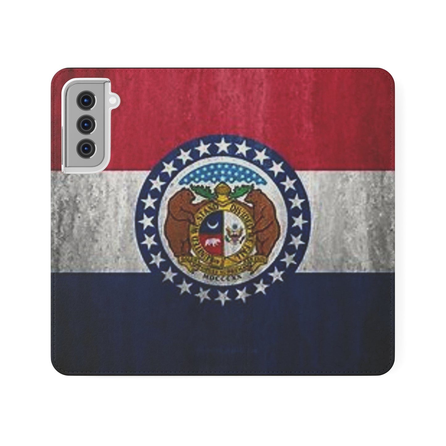 Missouri Flip Cases