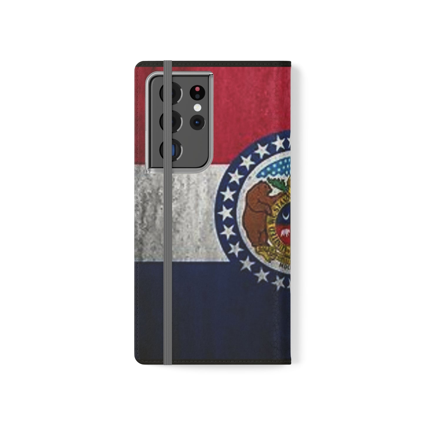 Missouri Flip Cases