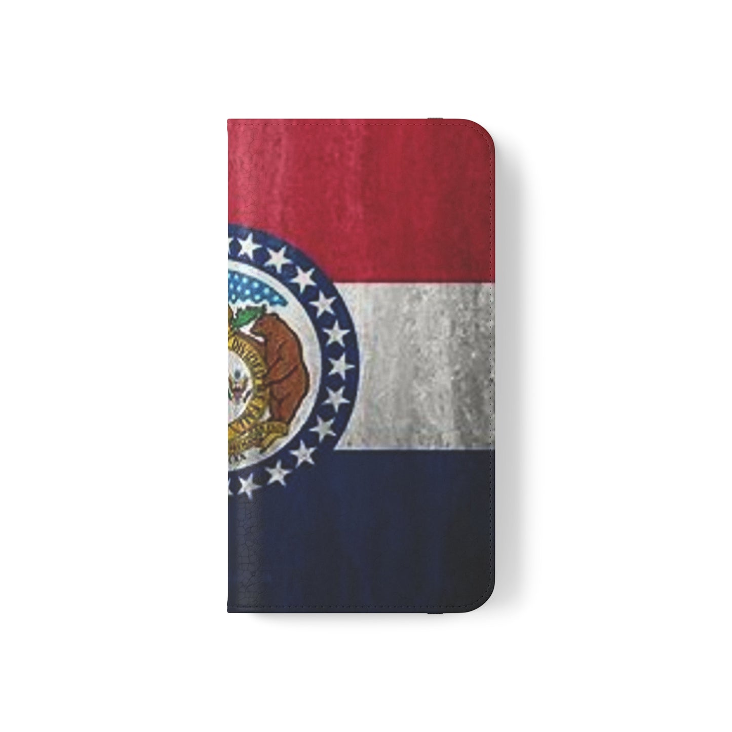 Missouri Flip Cases