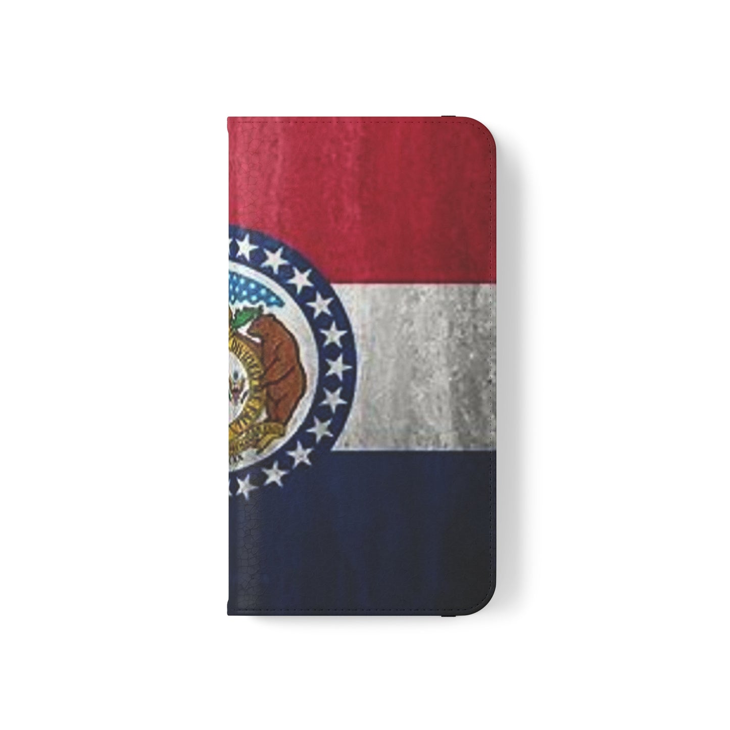Missouri Flip Cases