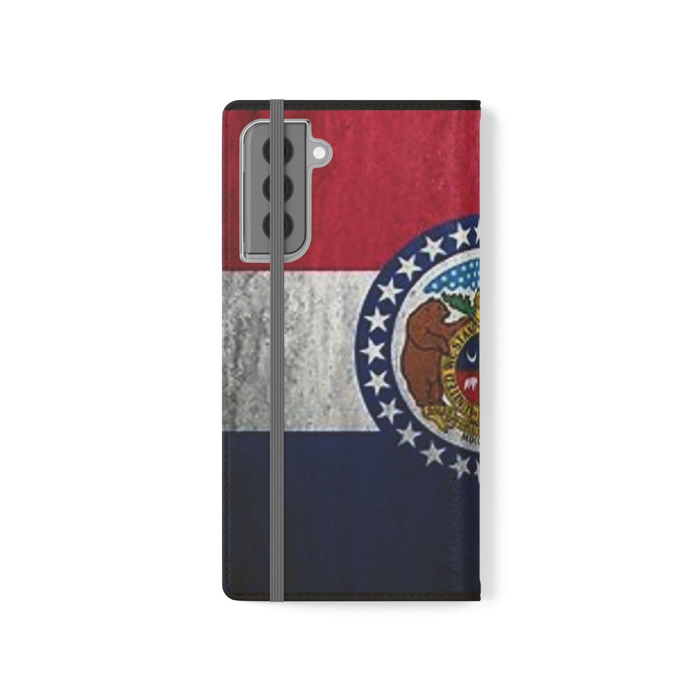Missouri Flip Cases
