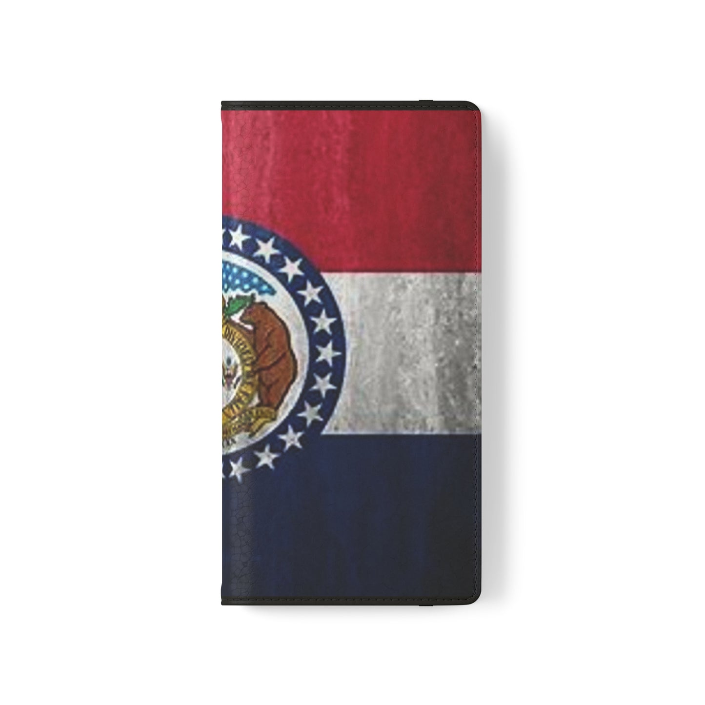 Missouri Flip Cases