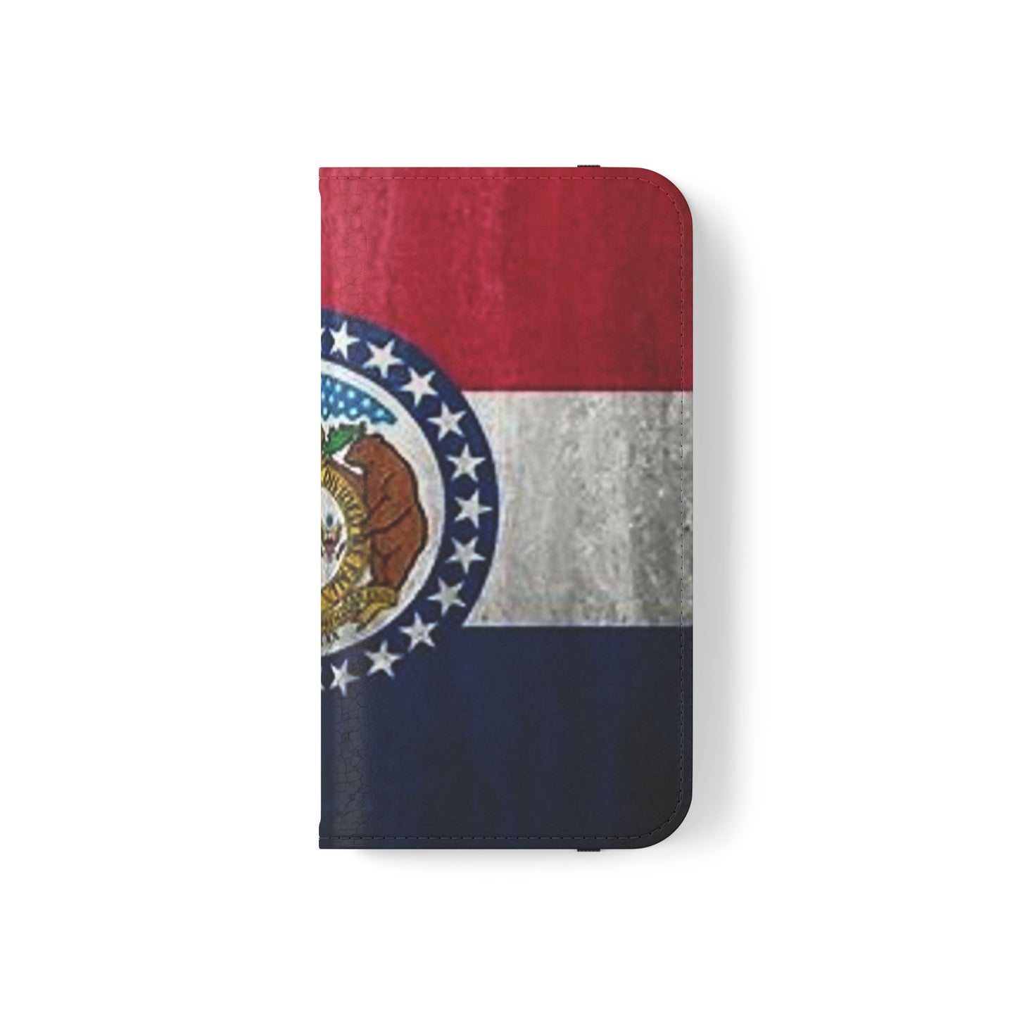 Missouri Flip Cases