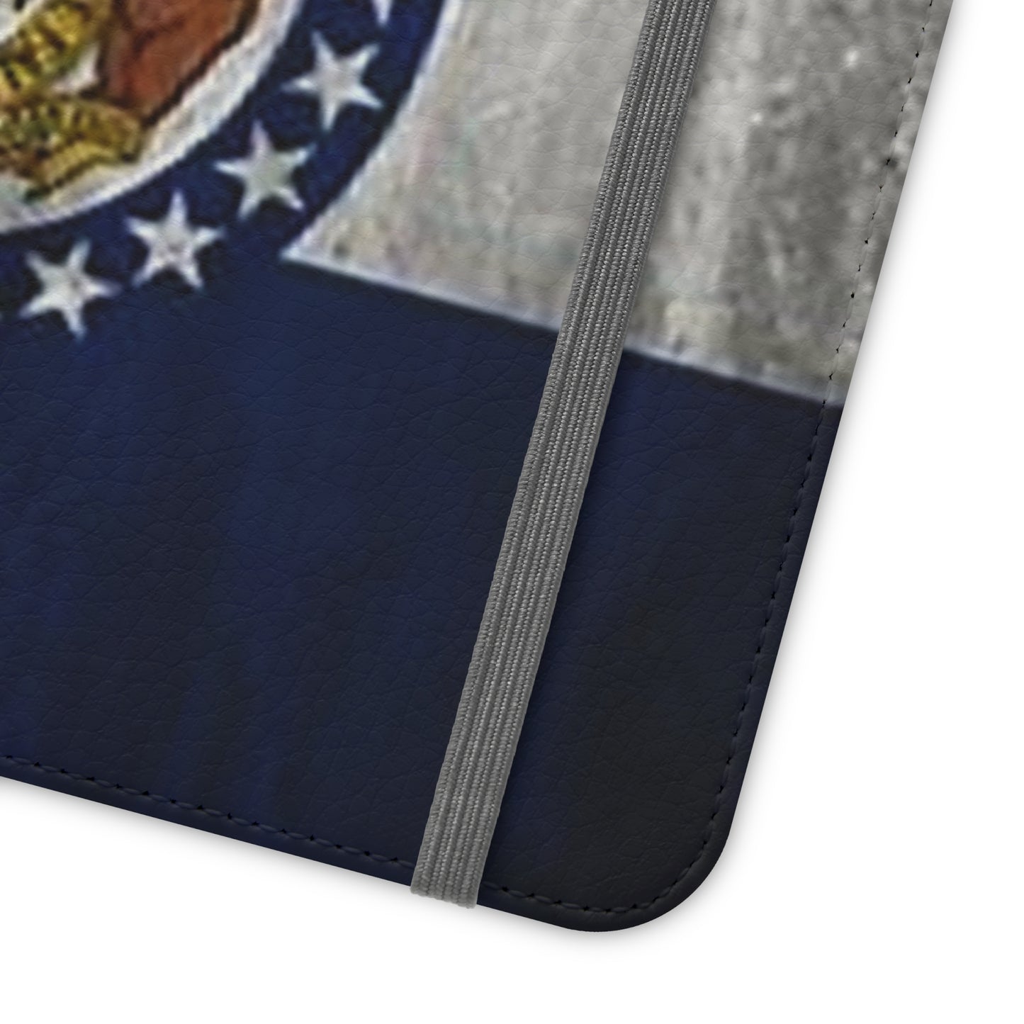 Missouri Flip Cases