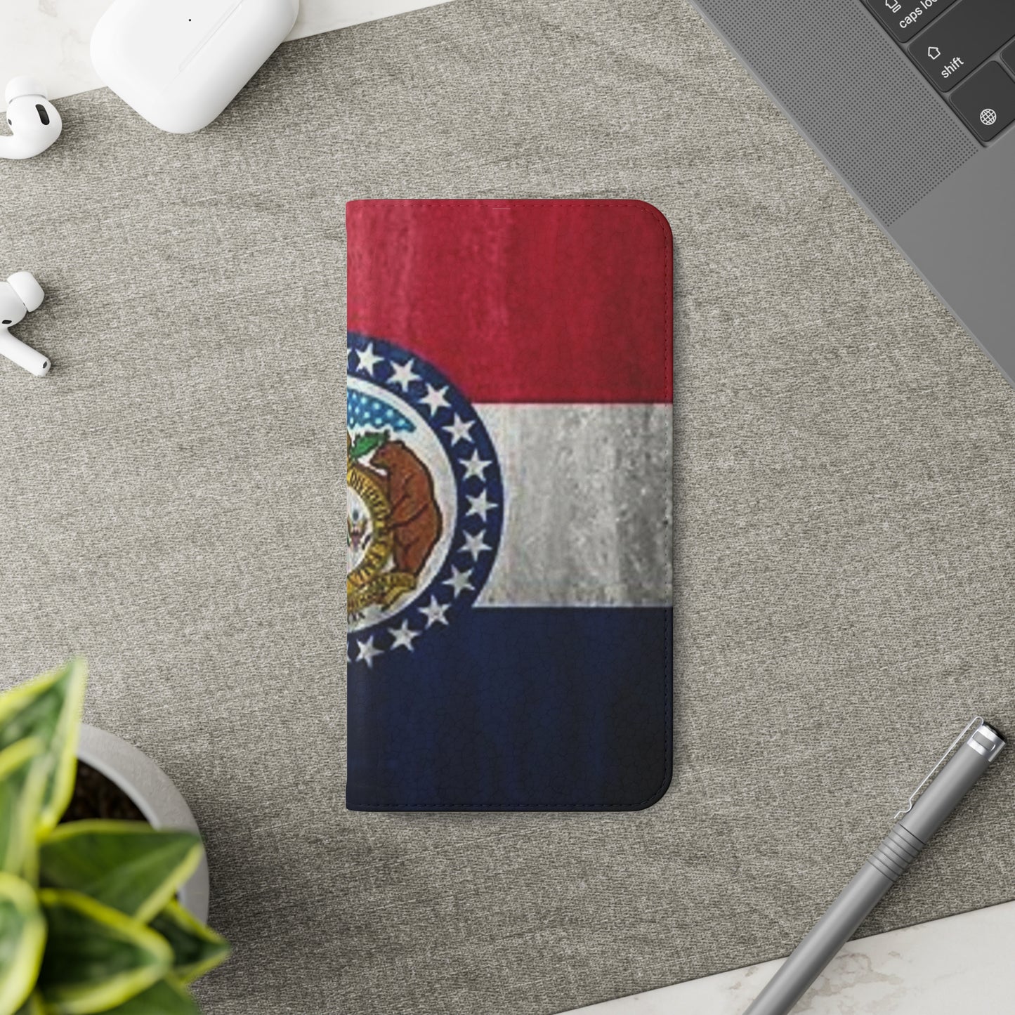 Missouri Flip Cases