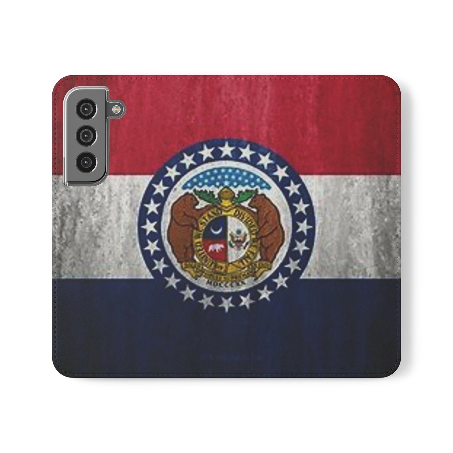 Missouri Flip Cases