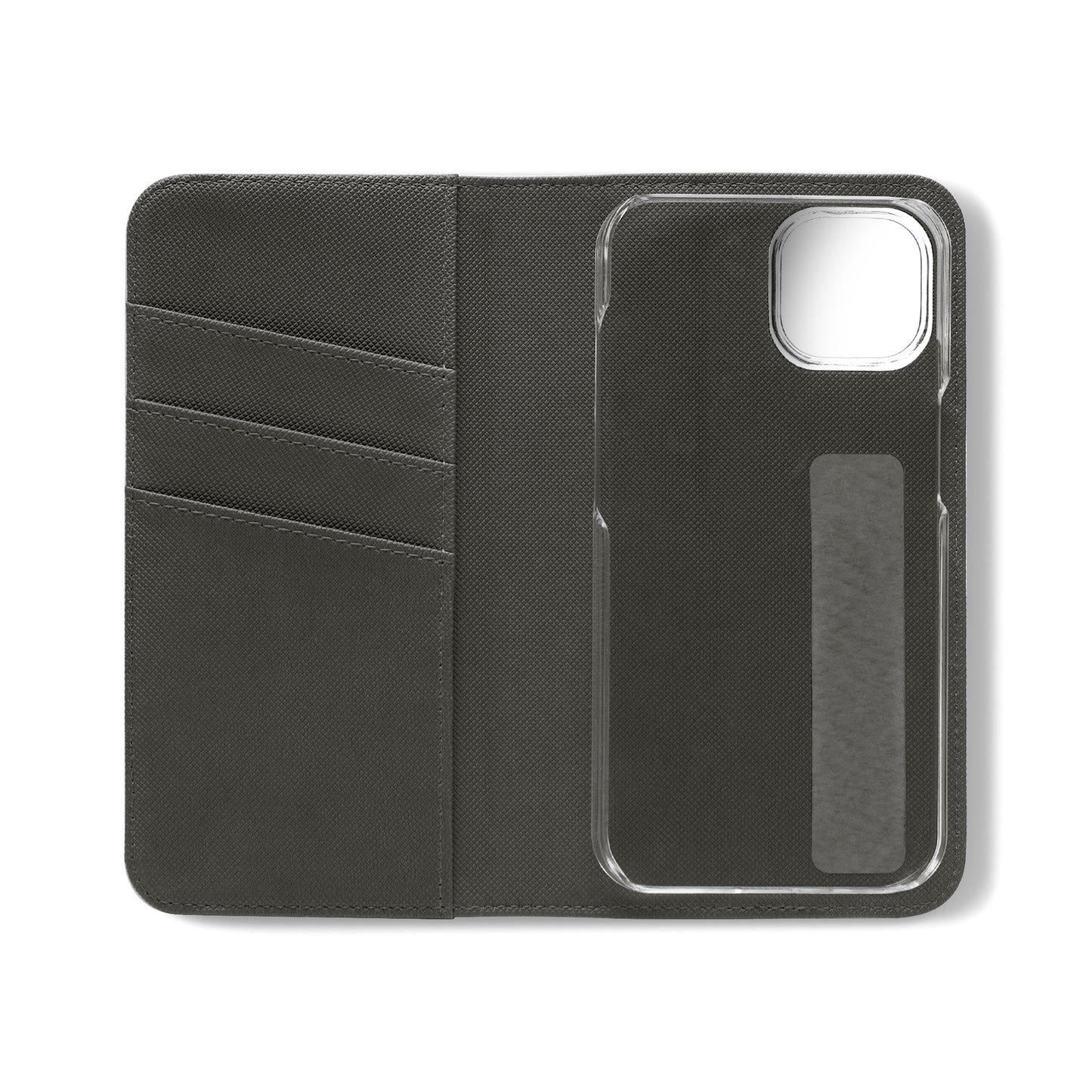 Missouri Flip Cases