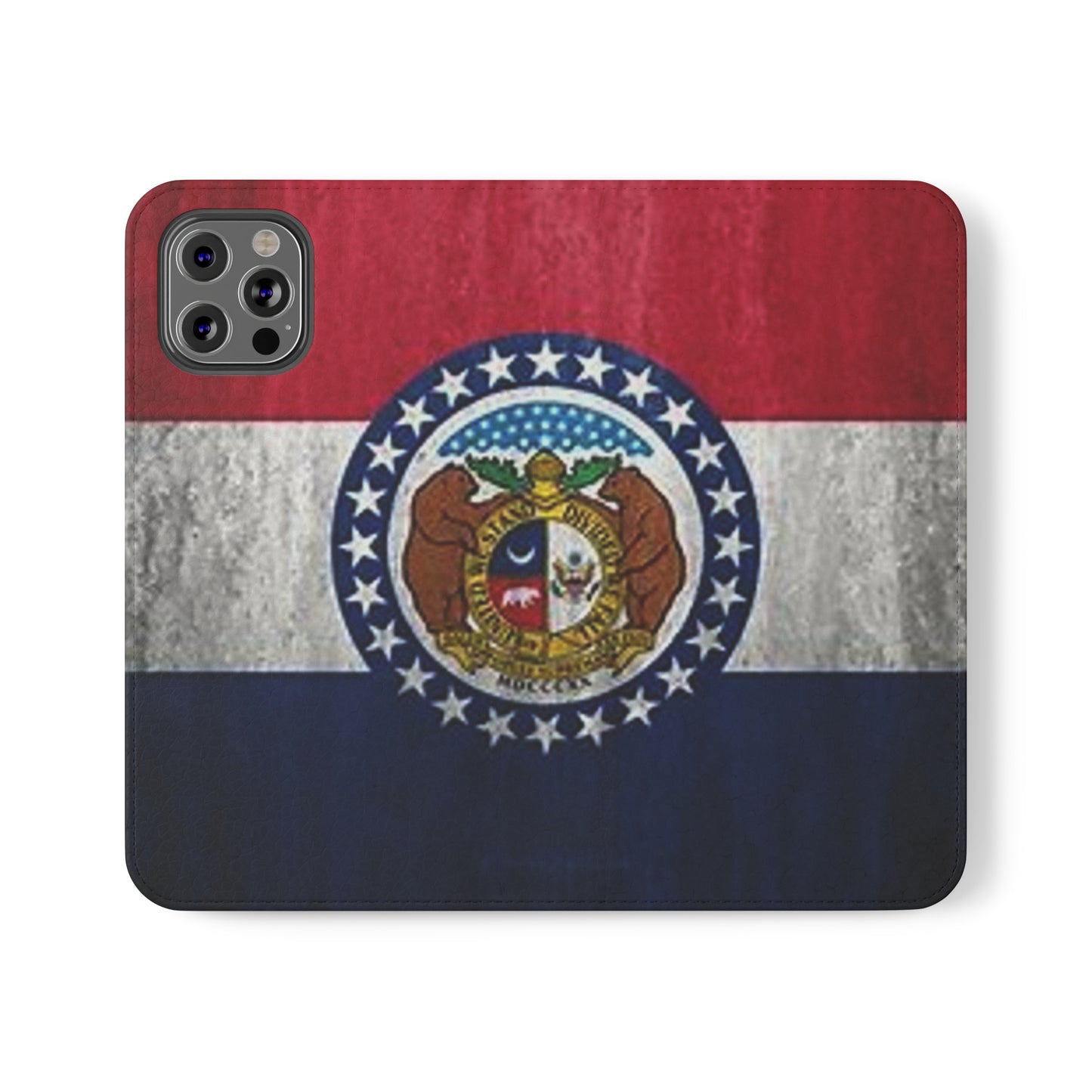 Missouri Flip Cases