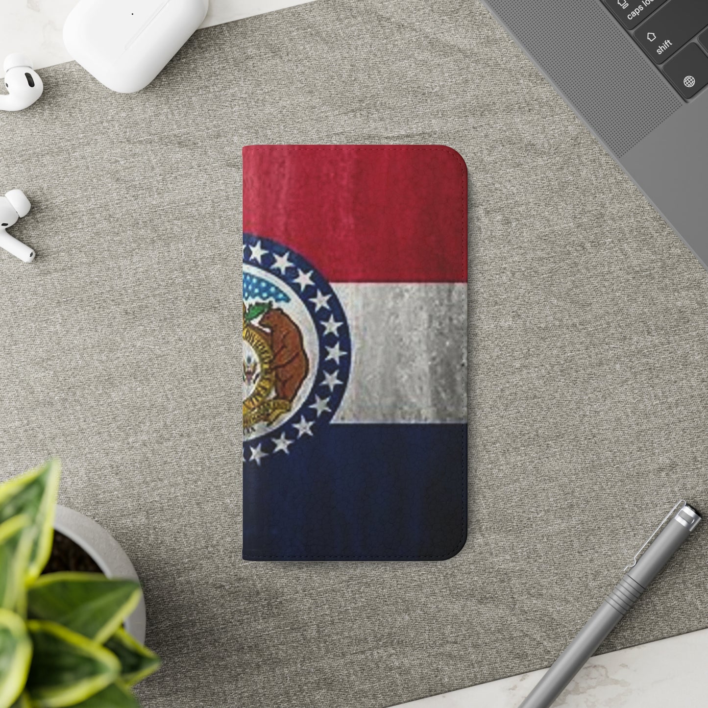 Missouri Flip Cases