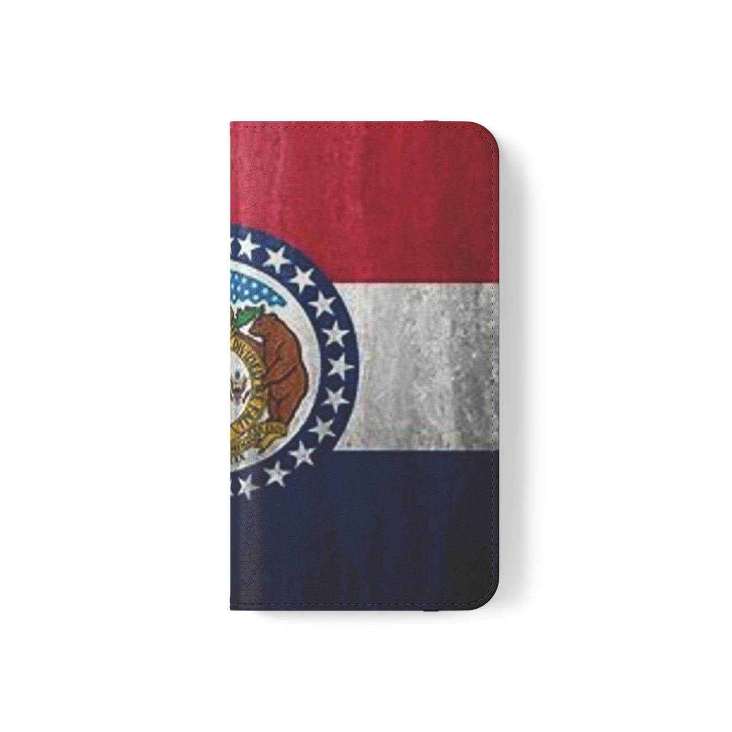 Missouri Flip Cases