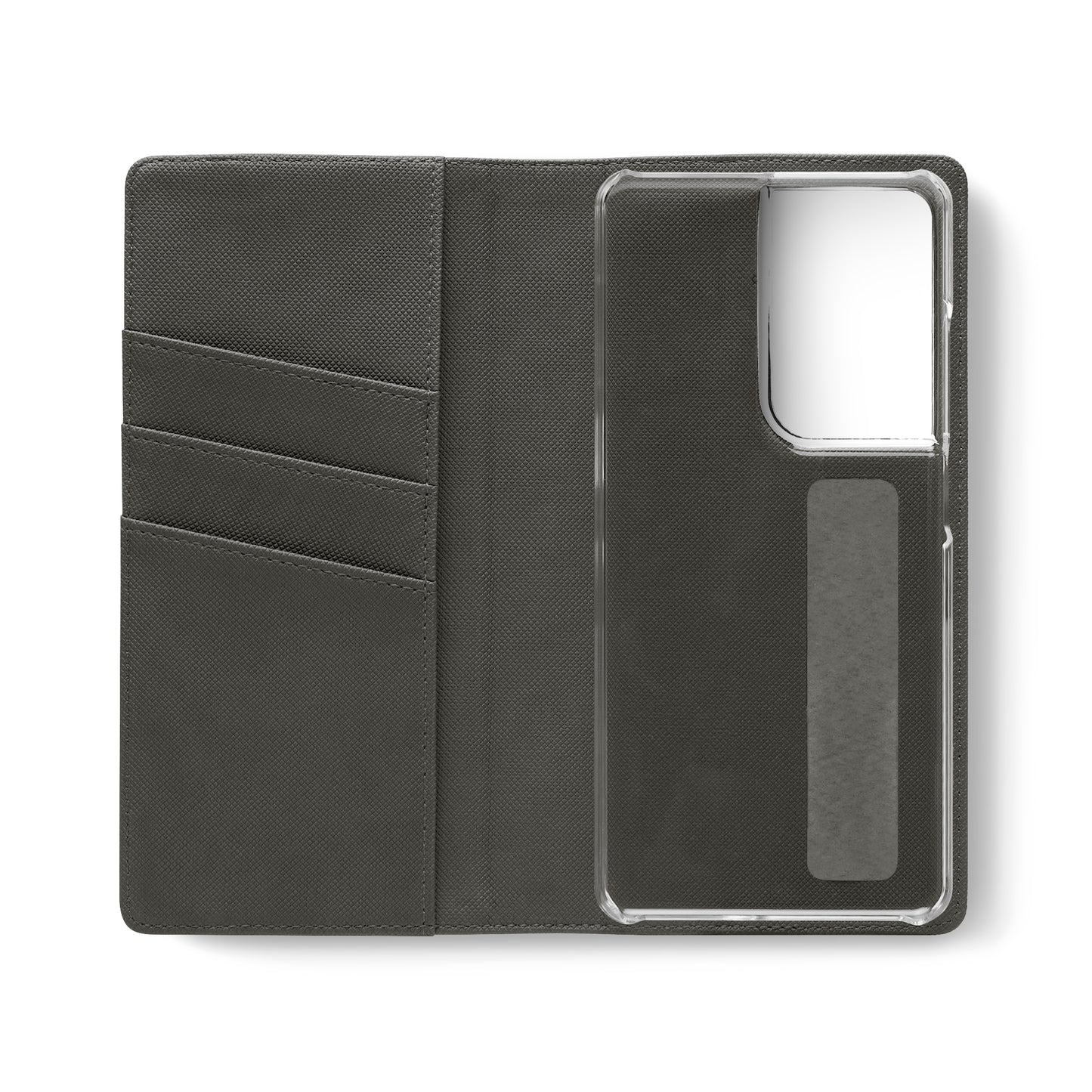 Missouri Flip Cases