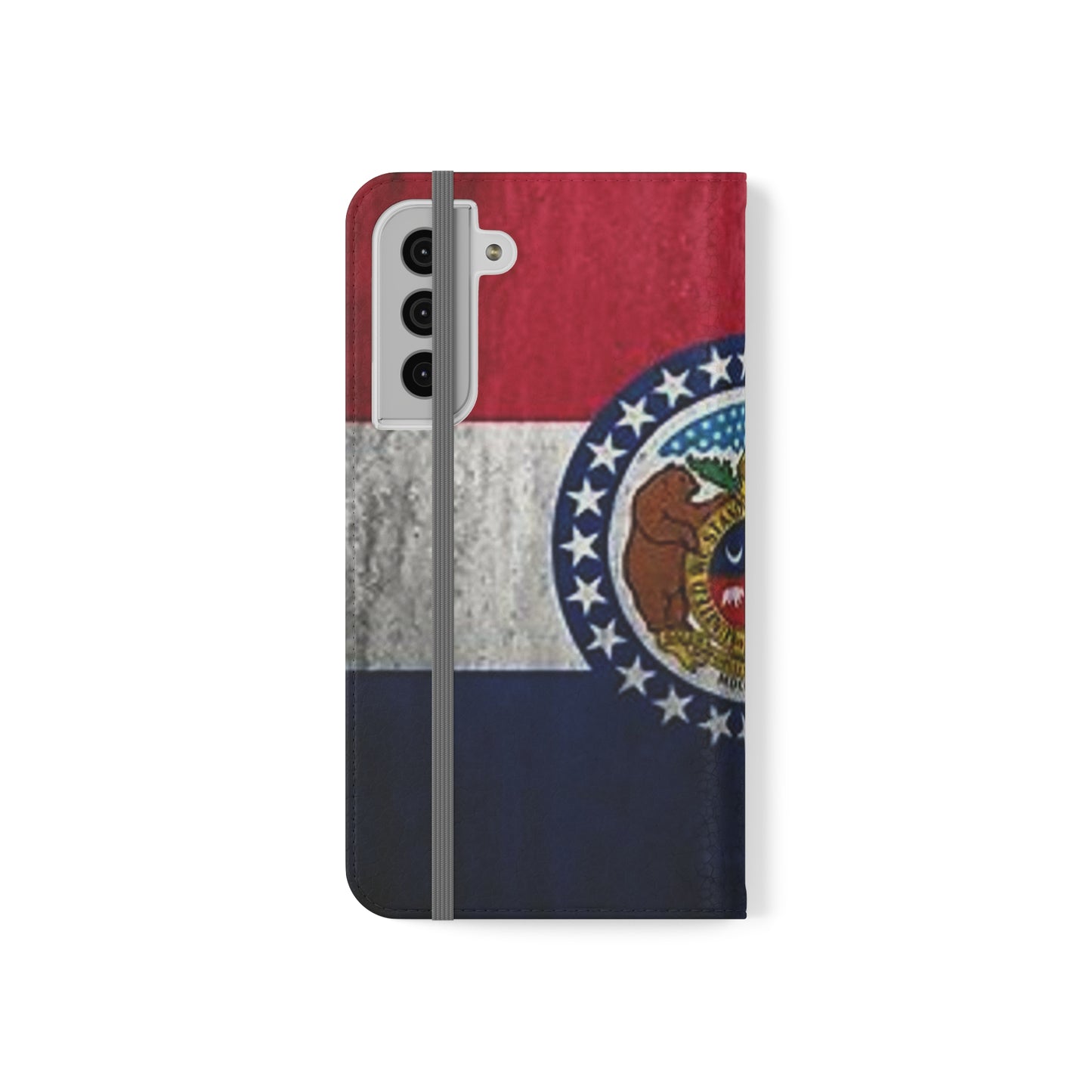 Missouri Flip Cases