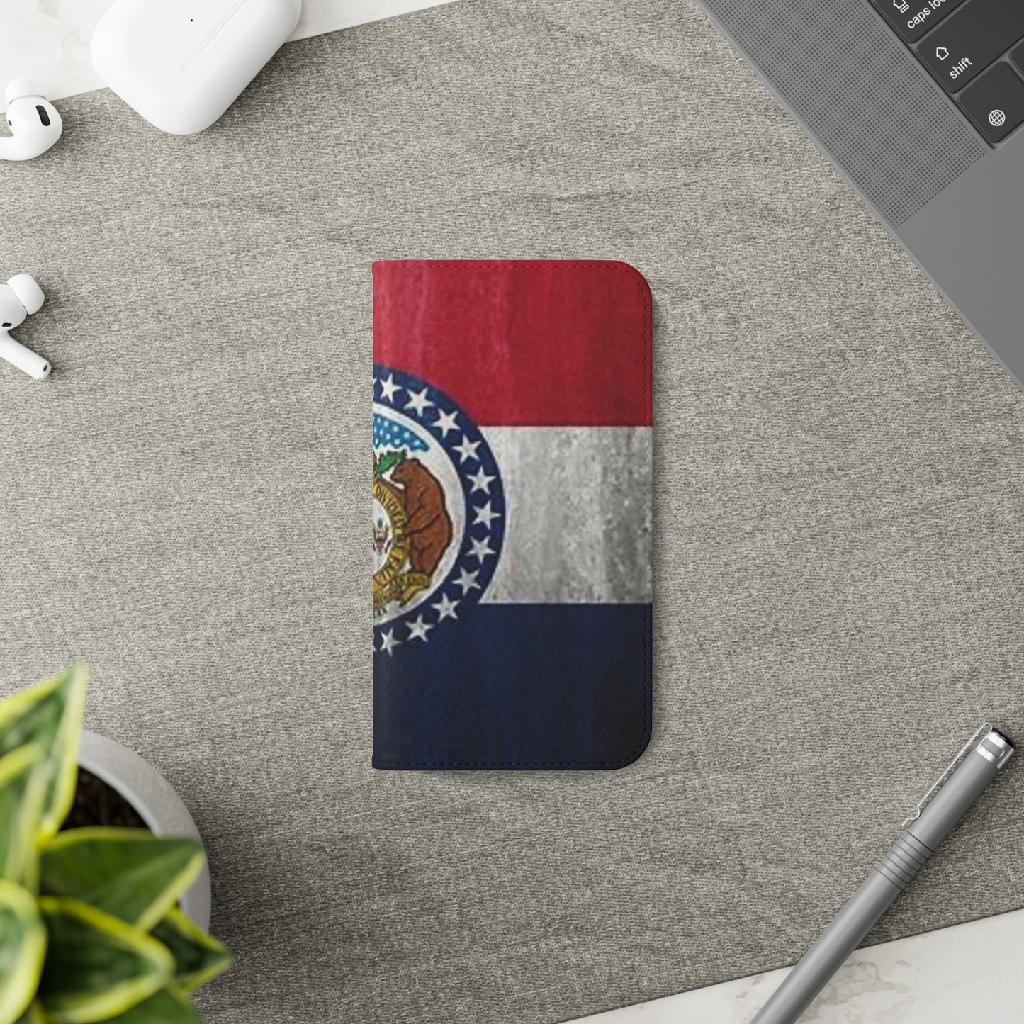 Missouri Flip Cases