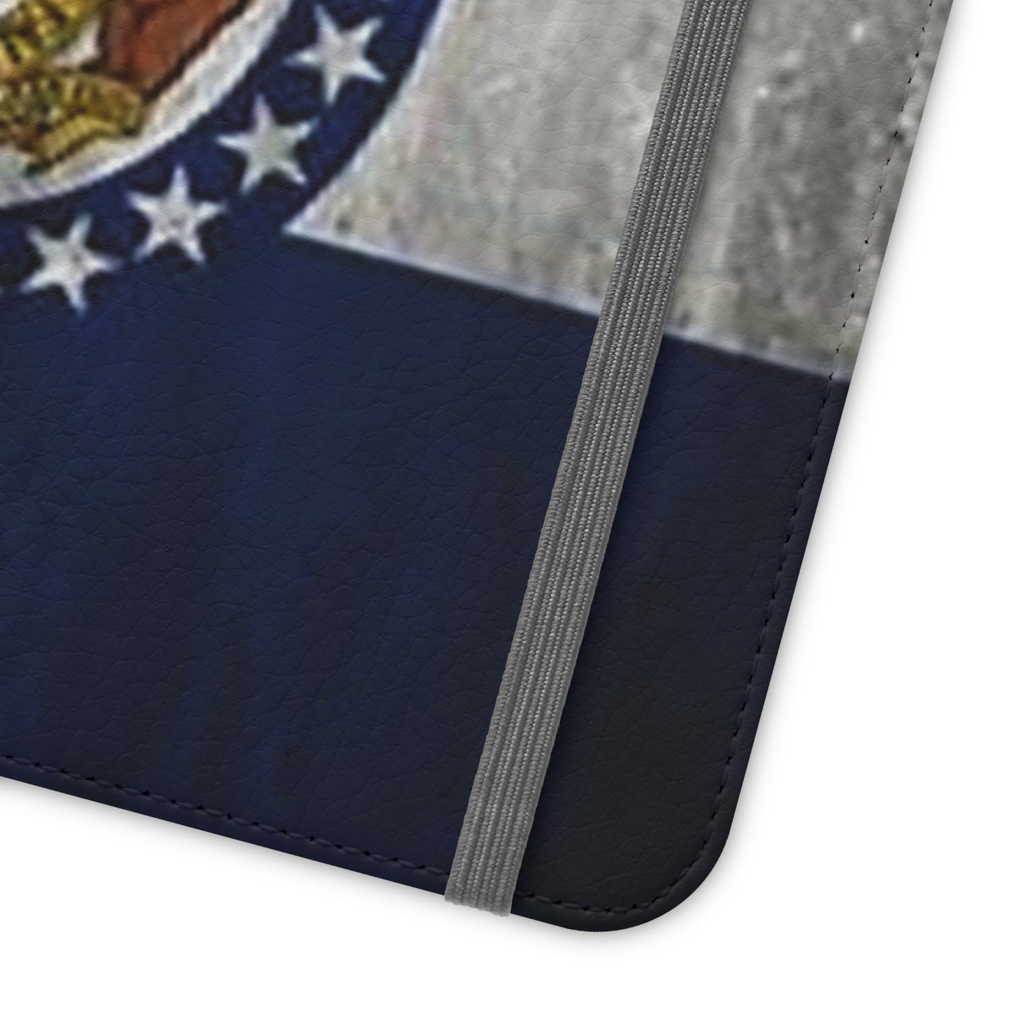 Missouri Flip Cases