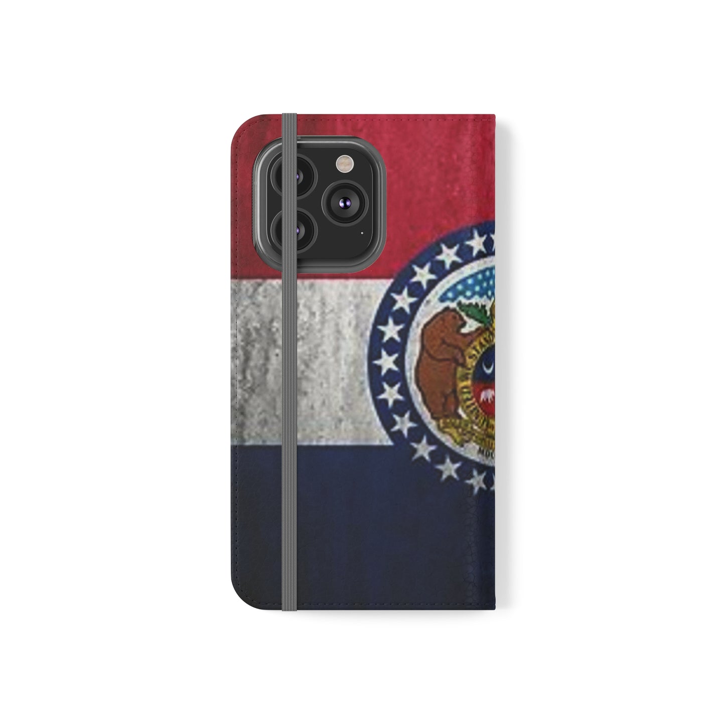 Missouri Flip Cases