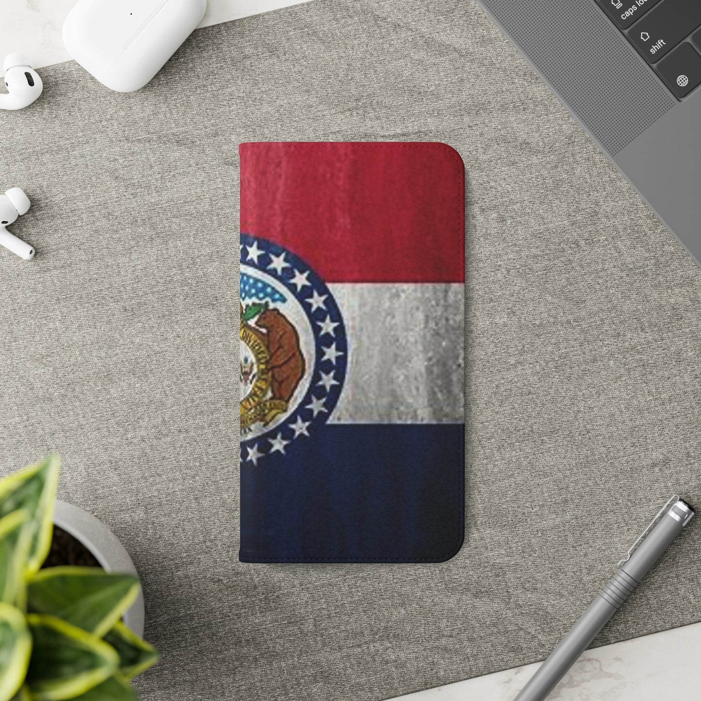 Missouri Flip Cases