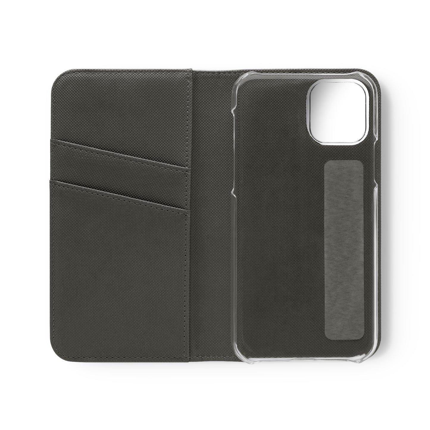 Missouri Flip Cases