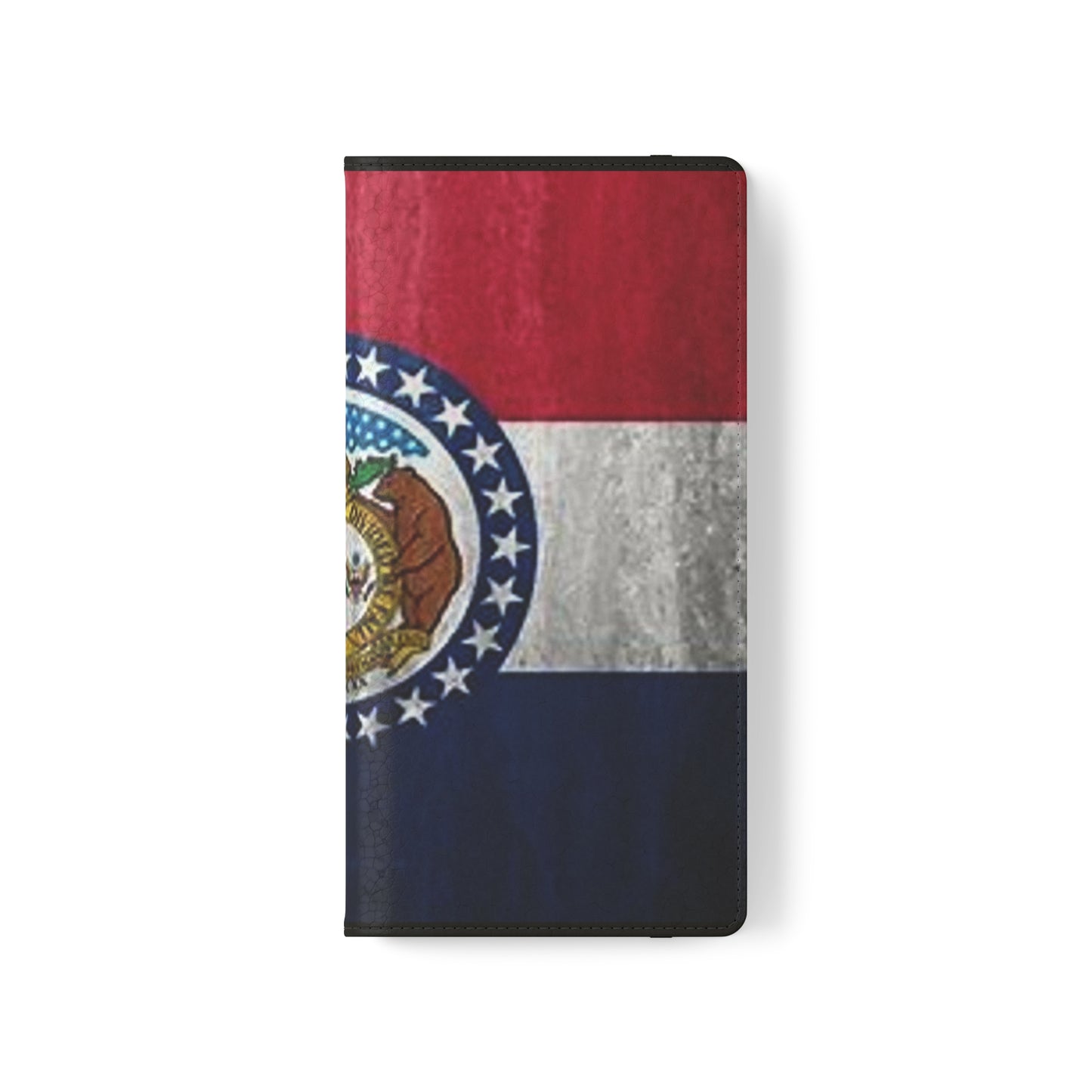 Missouri Flip Cases