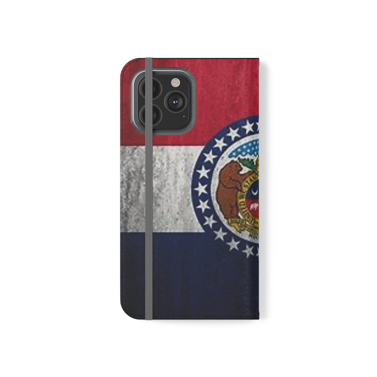 Missouri Flip Cases