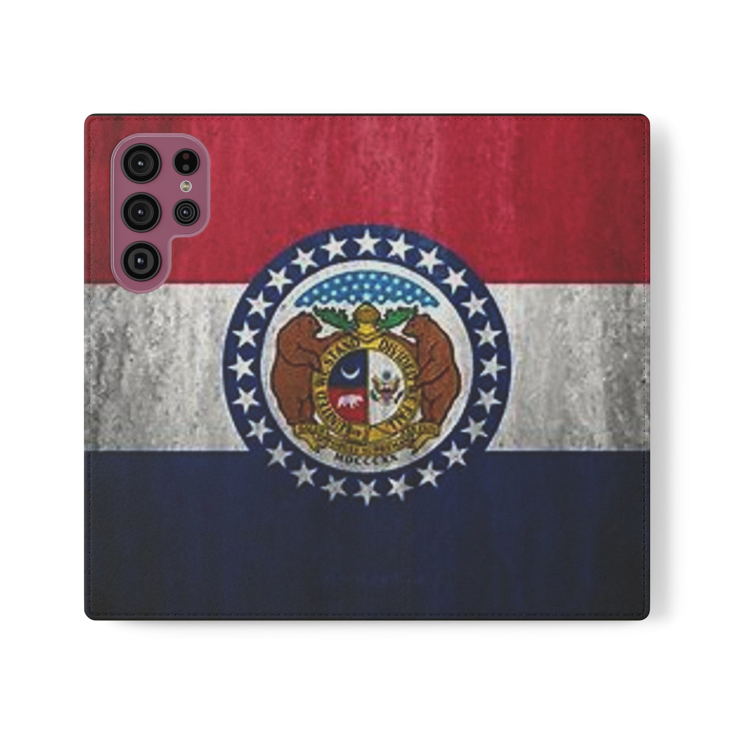 Missouri Flip Cases