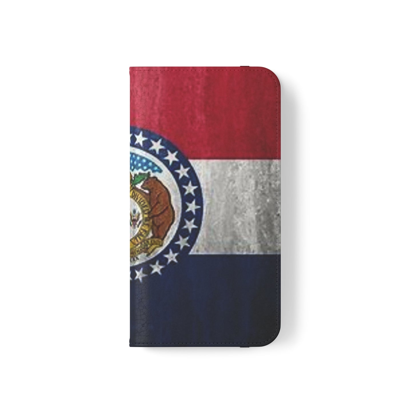 Missouri Flip Cases