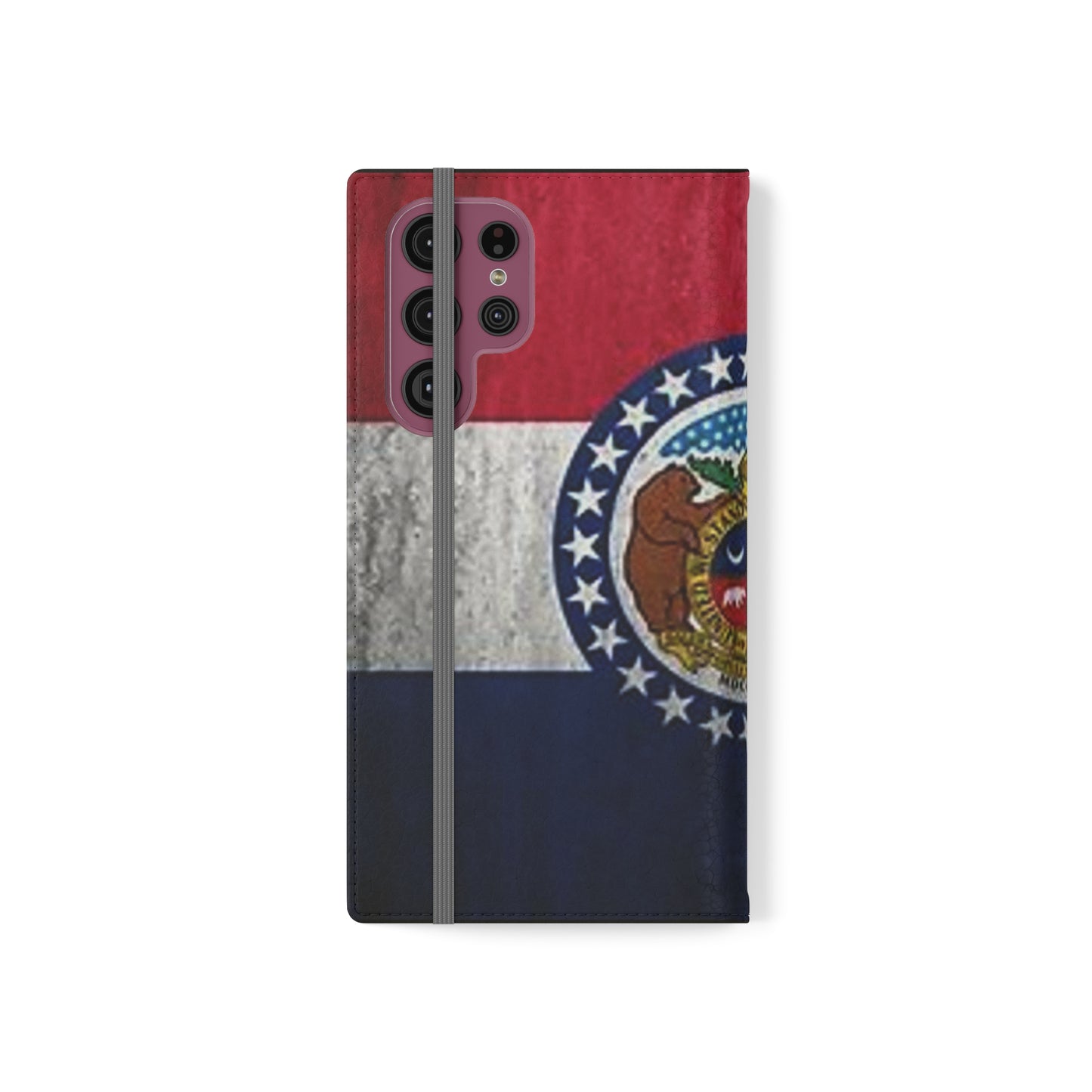 Missouri Flip Cases