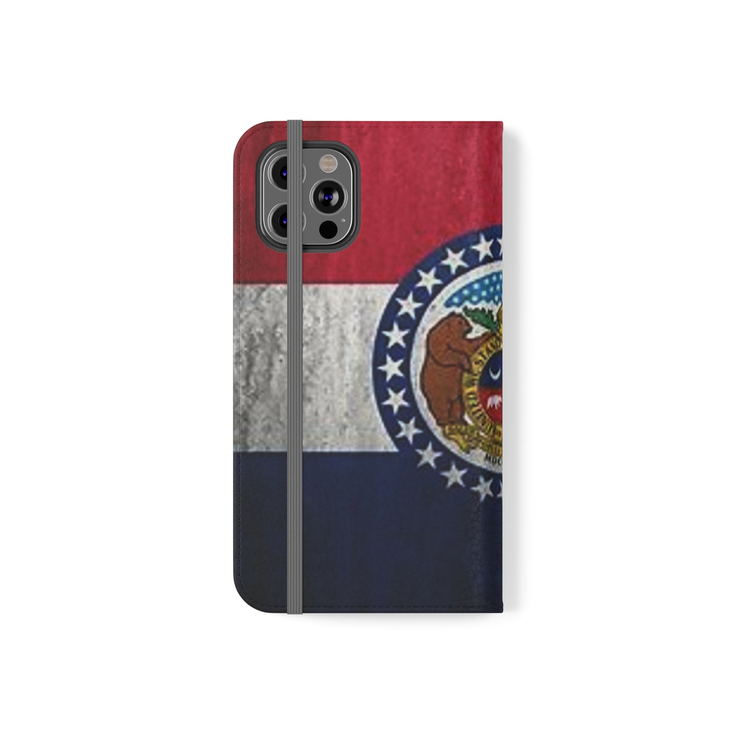 Missouri Flip Cases