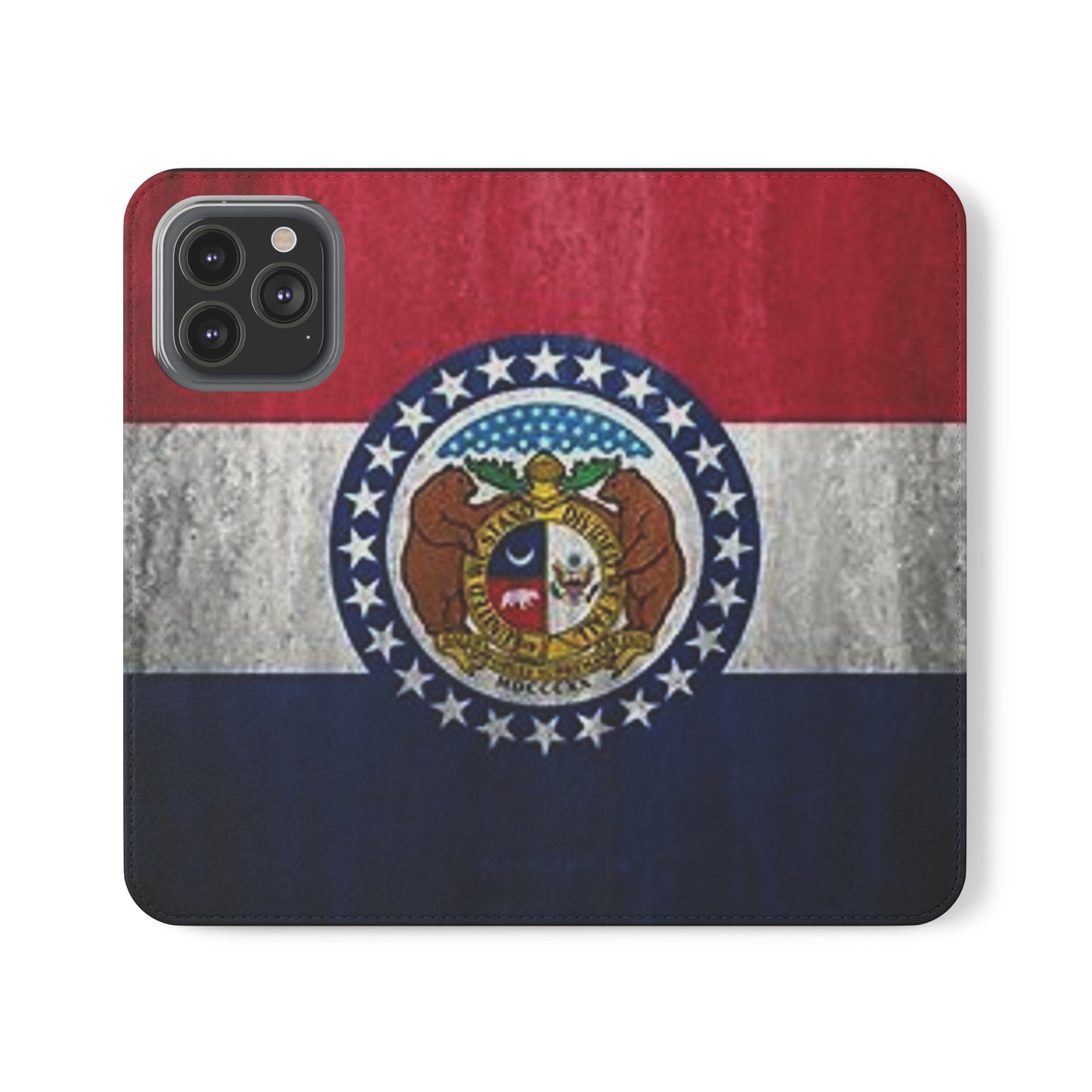 Missouri Flip Cases