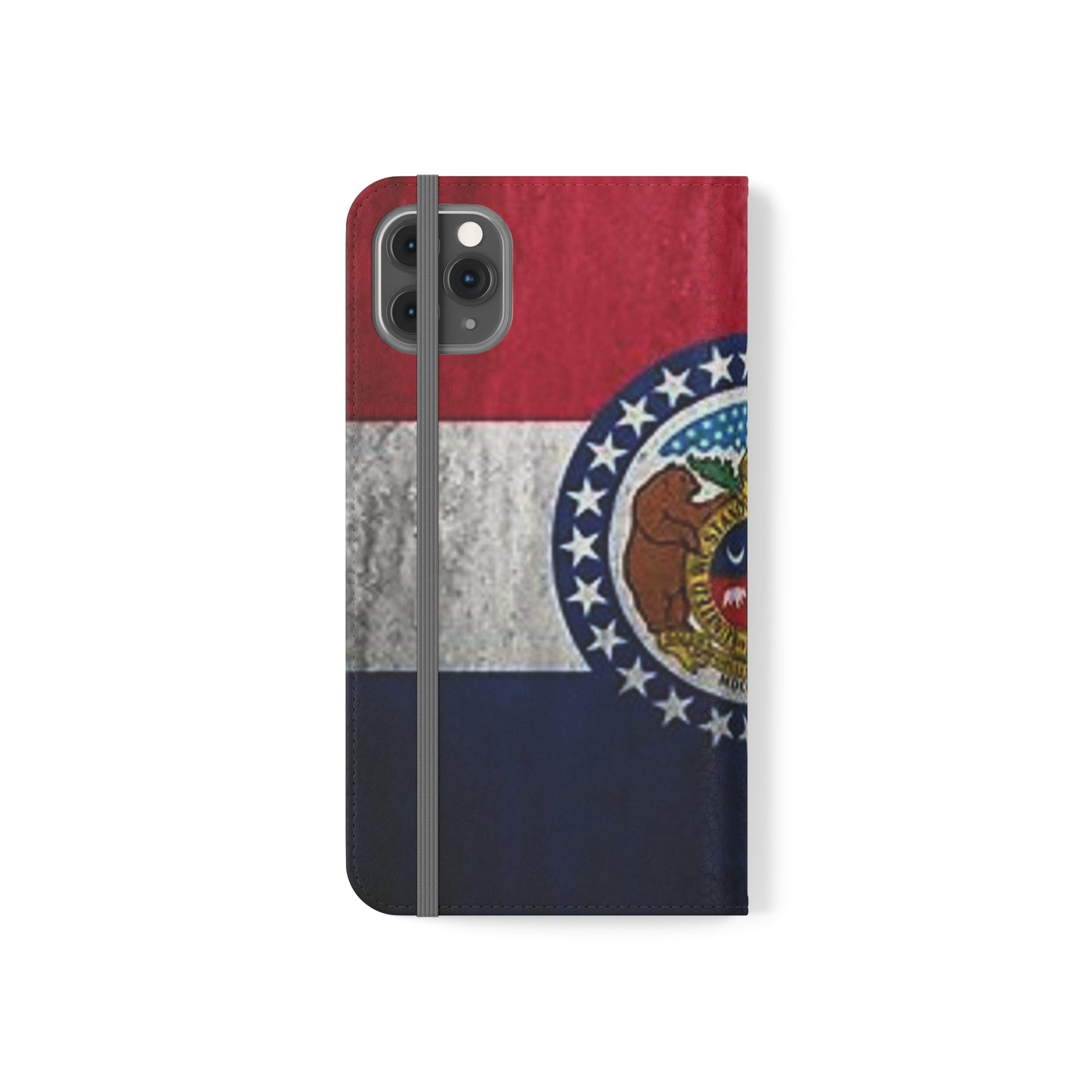 Missouri Flip Cases