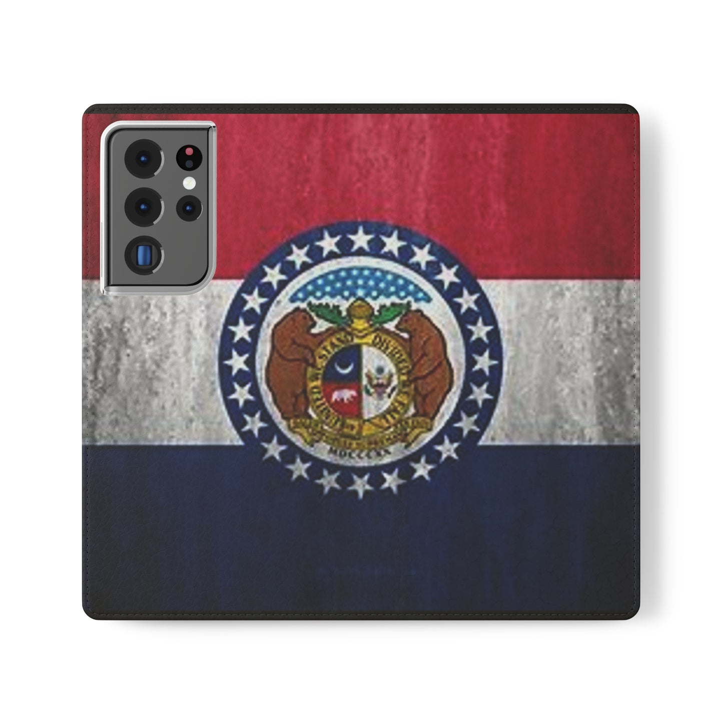 Missouri Flip Cases