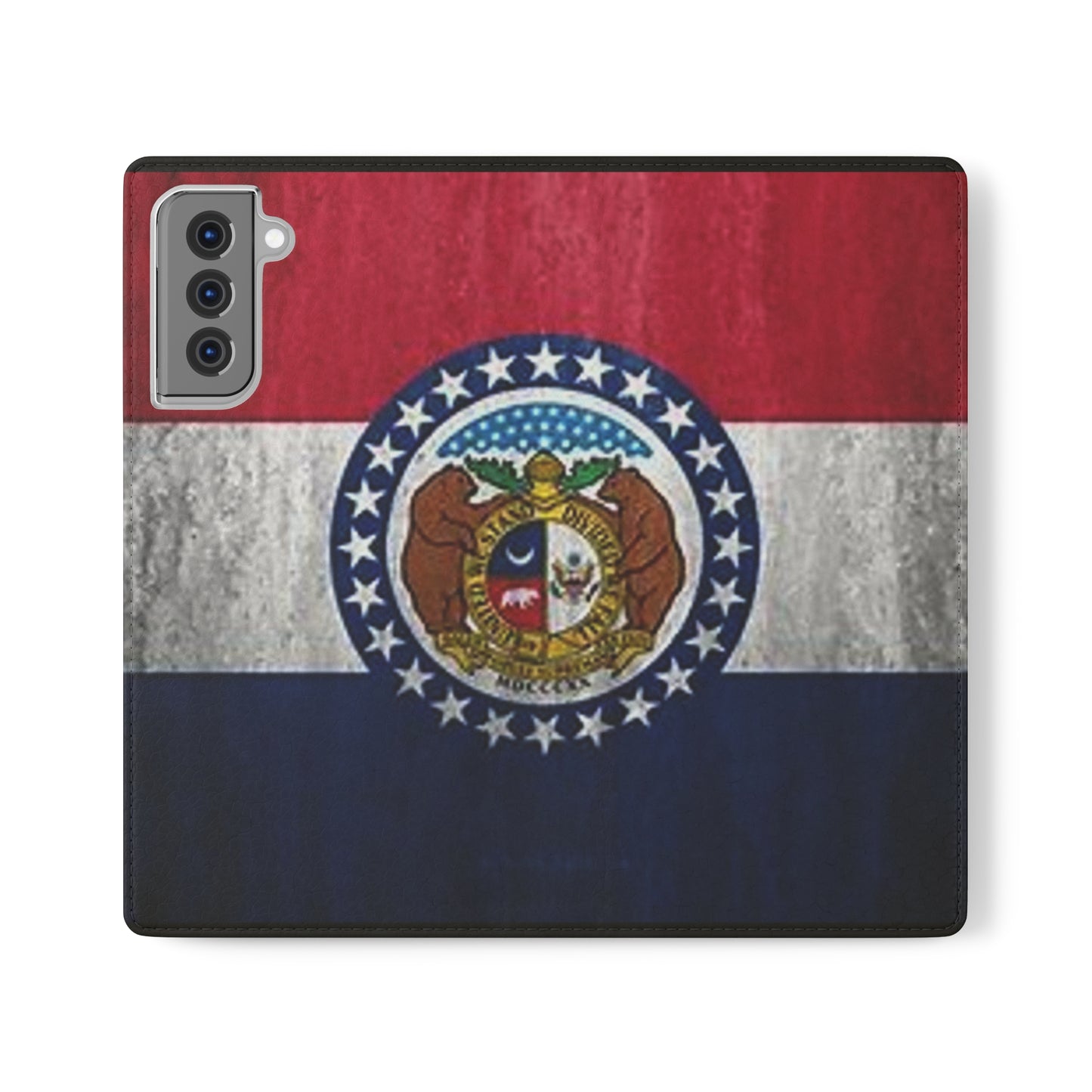 Missouri Flip Cases